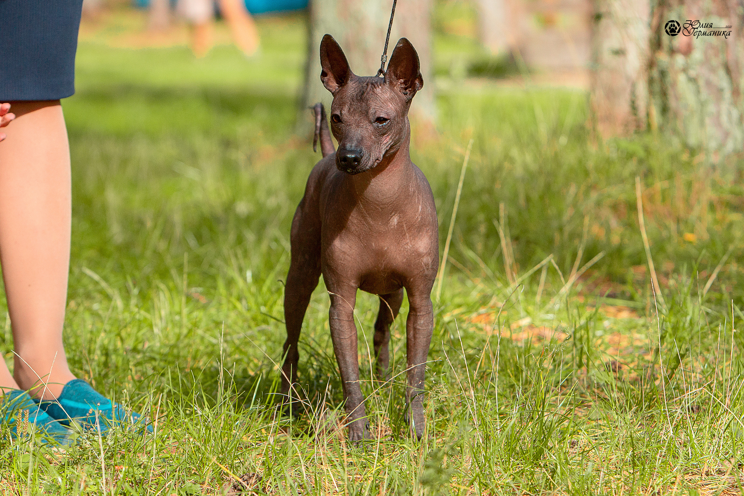 Свободная съемка. Фотограф-анималист Юлия Германика