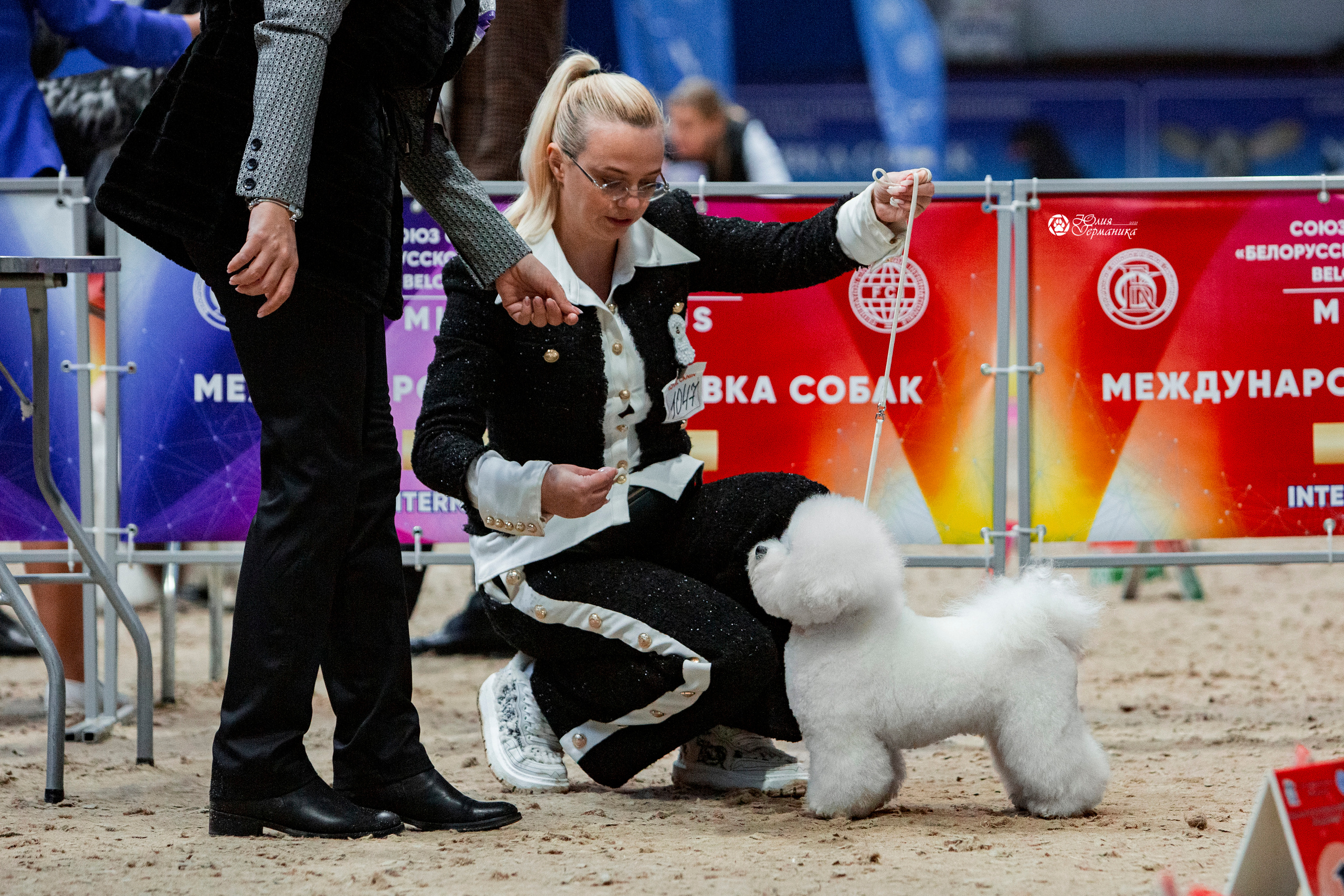Минск 2хCACIB 27-28 ноября 2021. Фотограф-анималист Юлия Германика