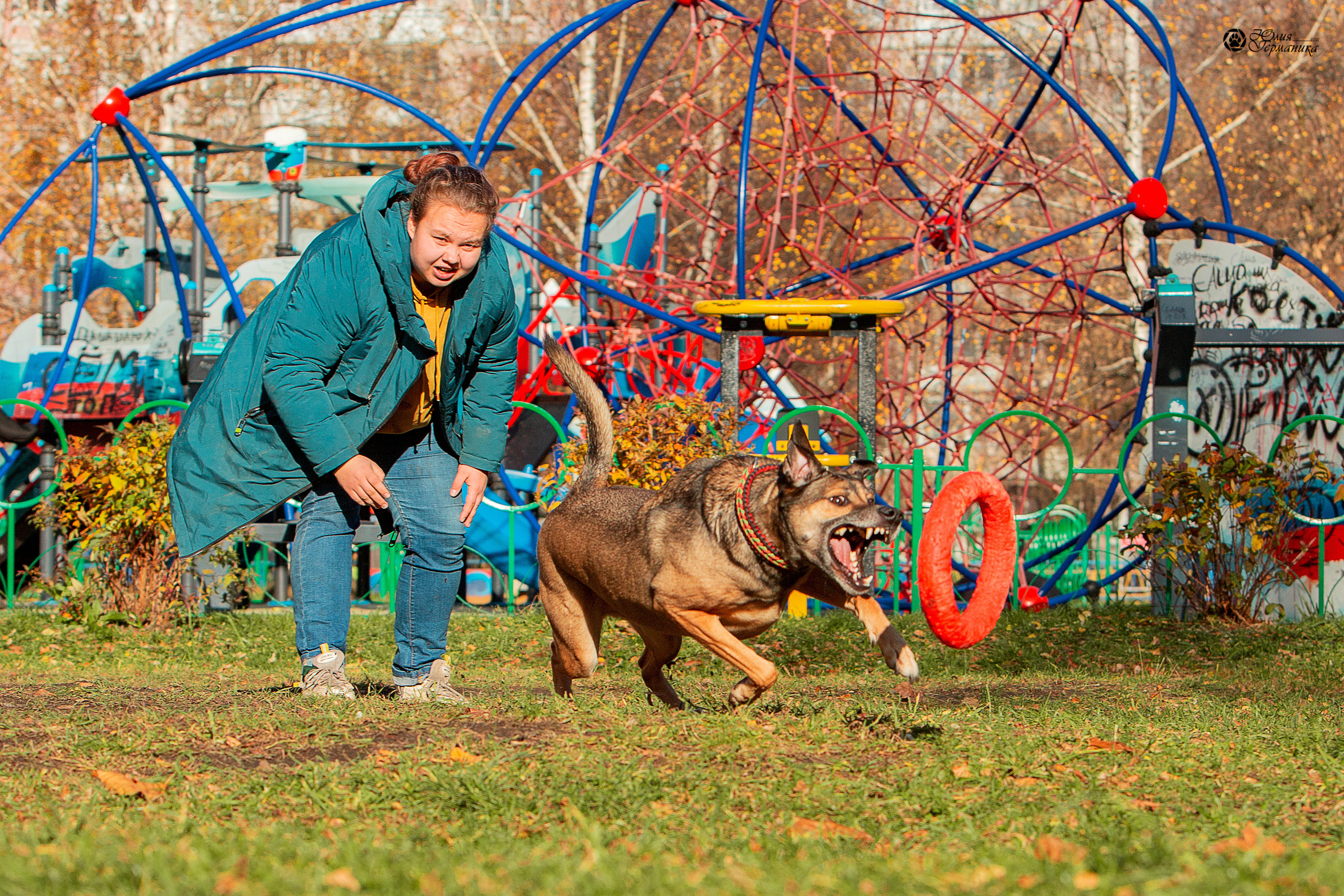 Свободная съемка. Фотограф-анималист Юлия Германика