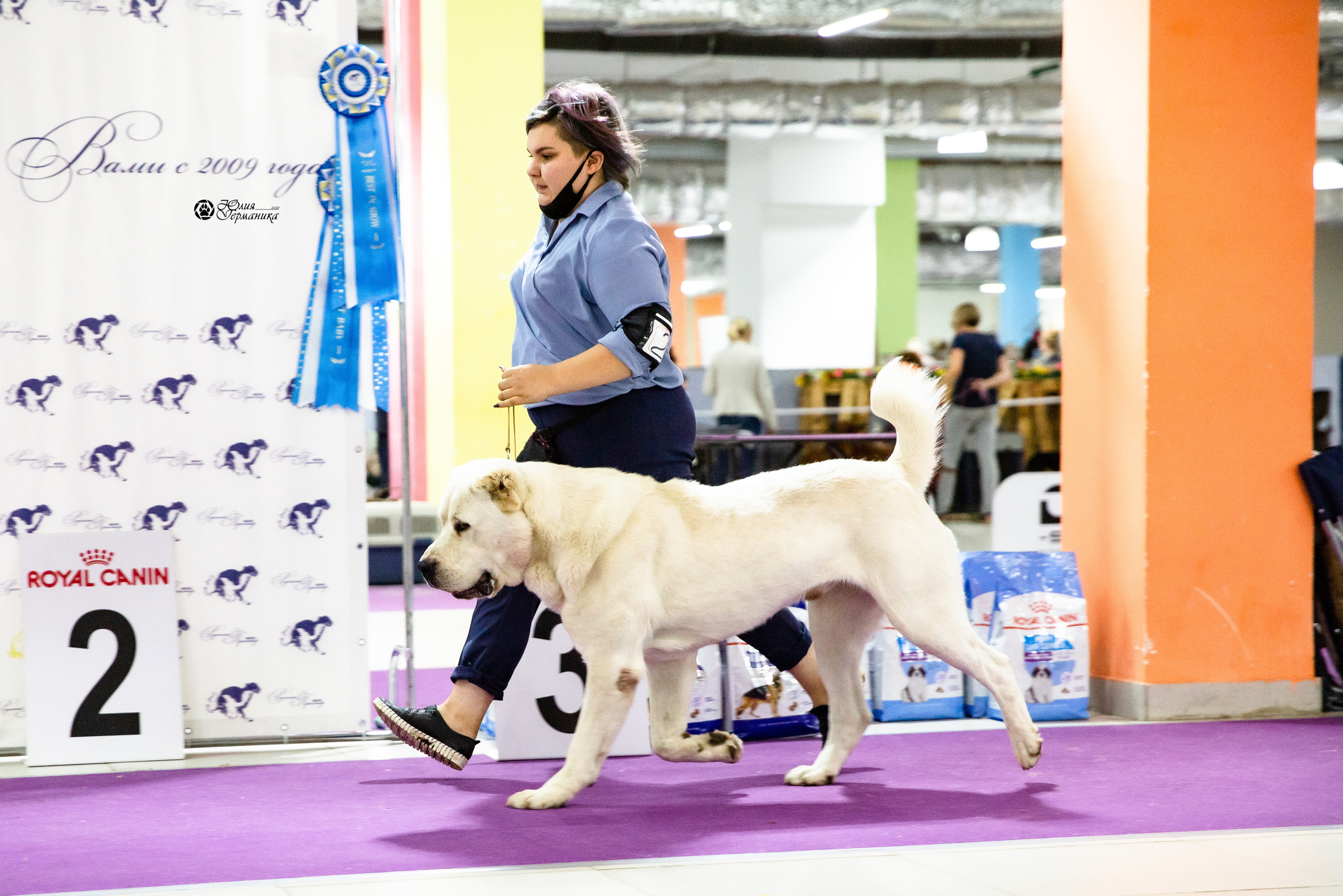 Чайна-Таун 2021. Фотограф-анималист Юлия Германика