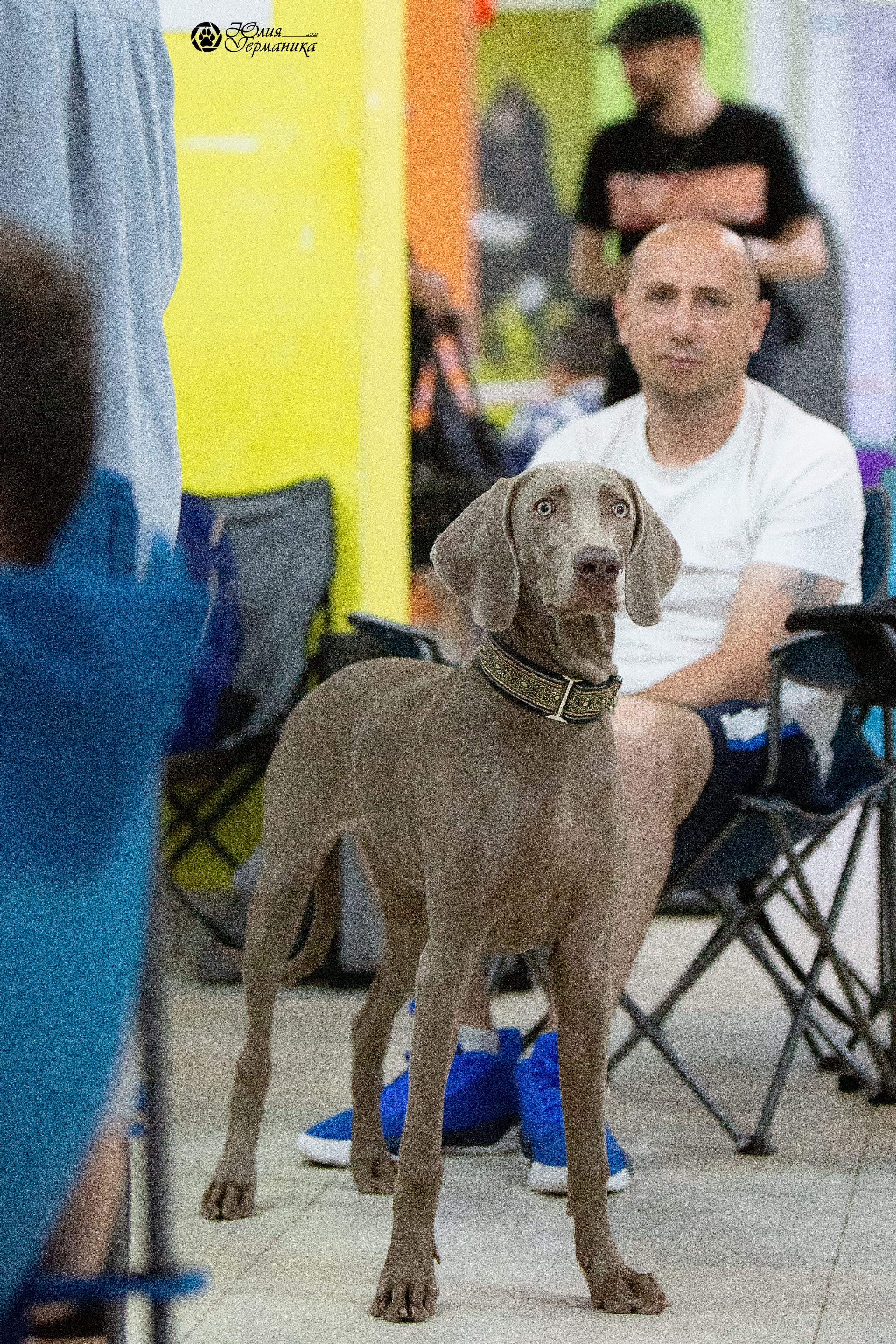 Чайна-Таун 2021. Фотограф-анималист Юлия Германика