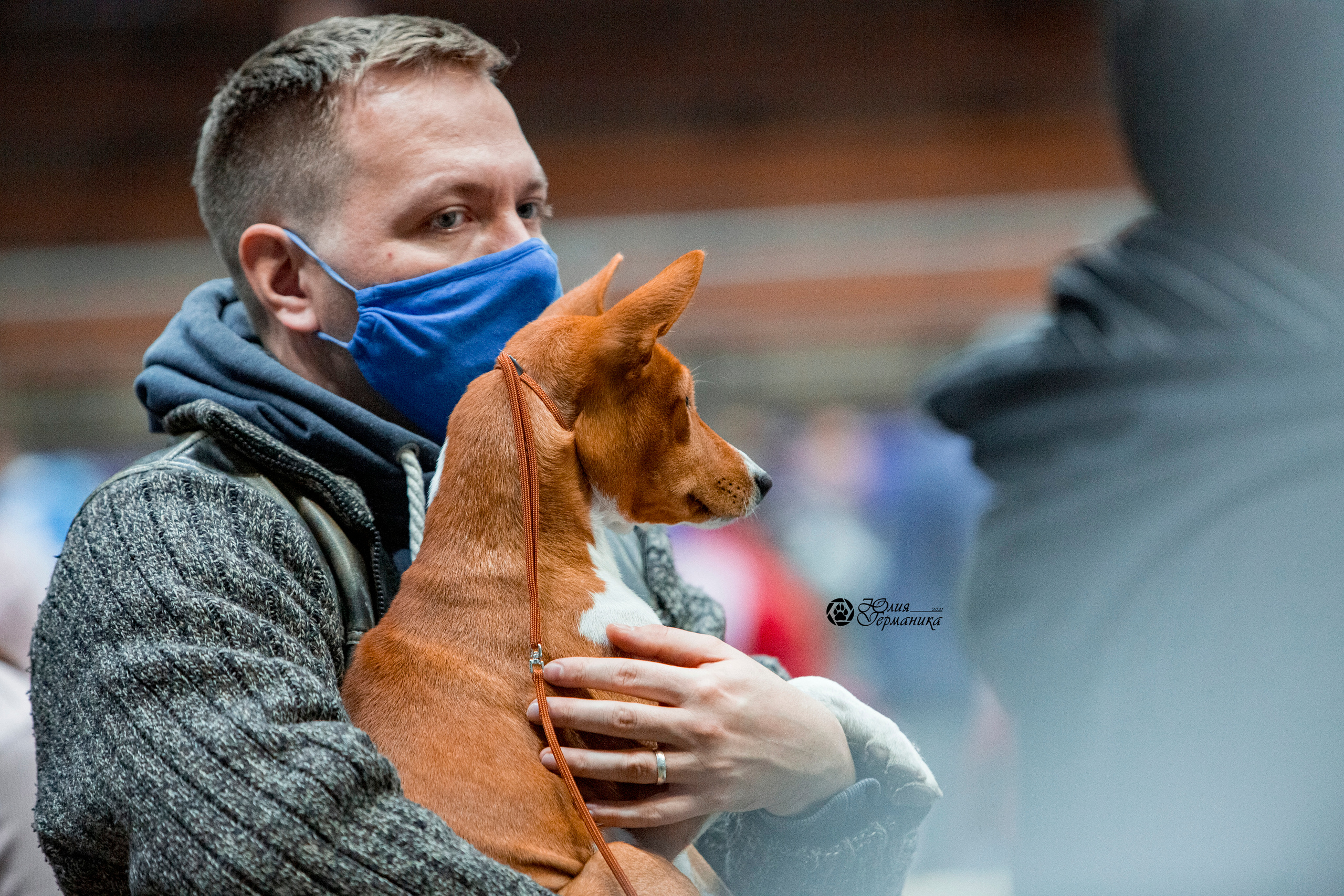 Минск 2хCACIB 27-28 ноября 2021. Фотограф-анималист Юлия Германика