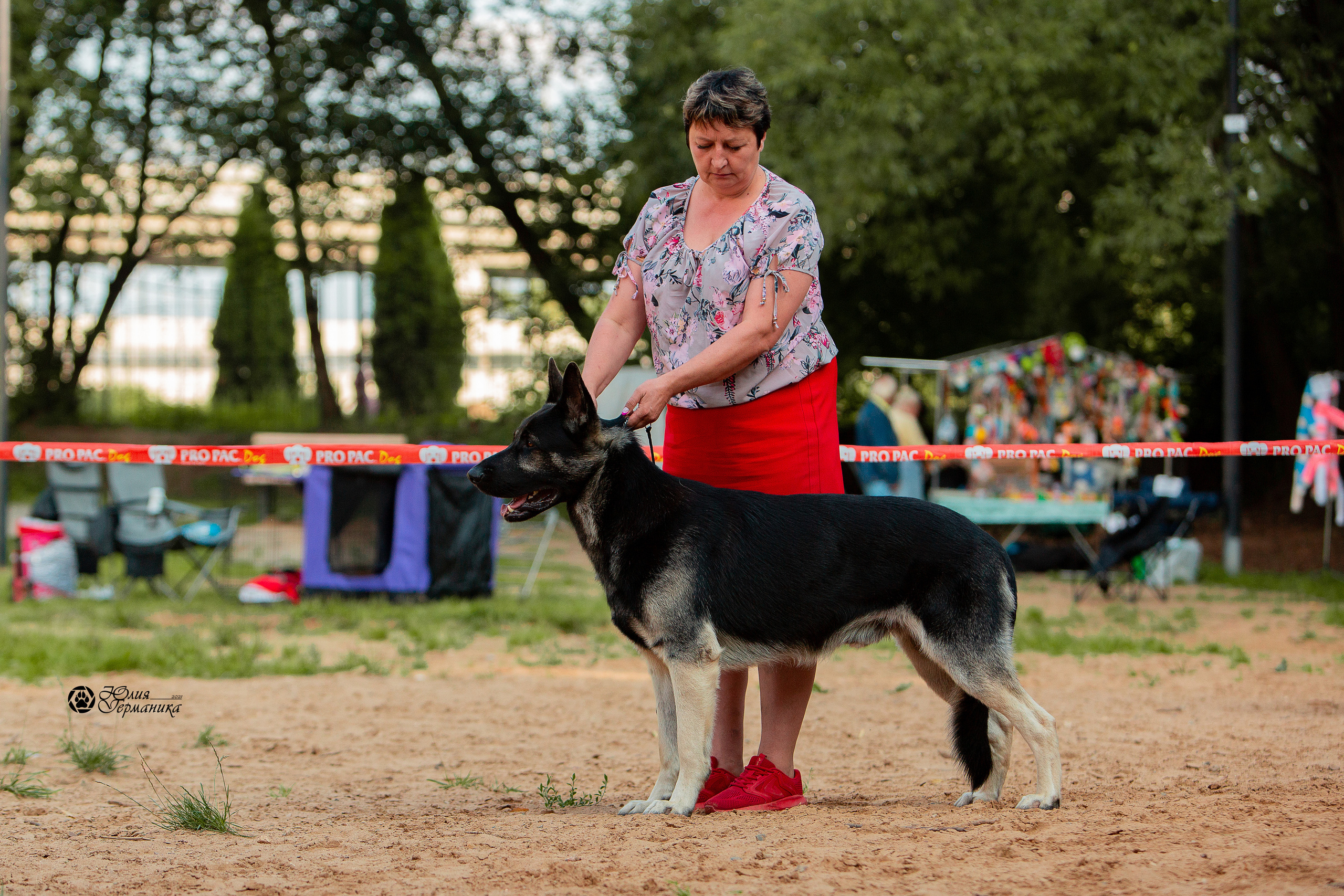 Ховрино фестиваль монопородок 15 августа 2021. Фотограф-анималист Юлия Германика