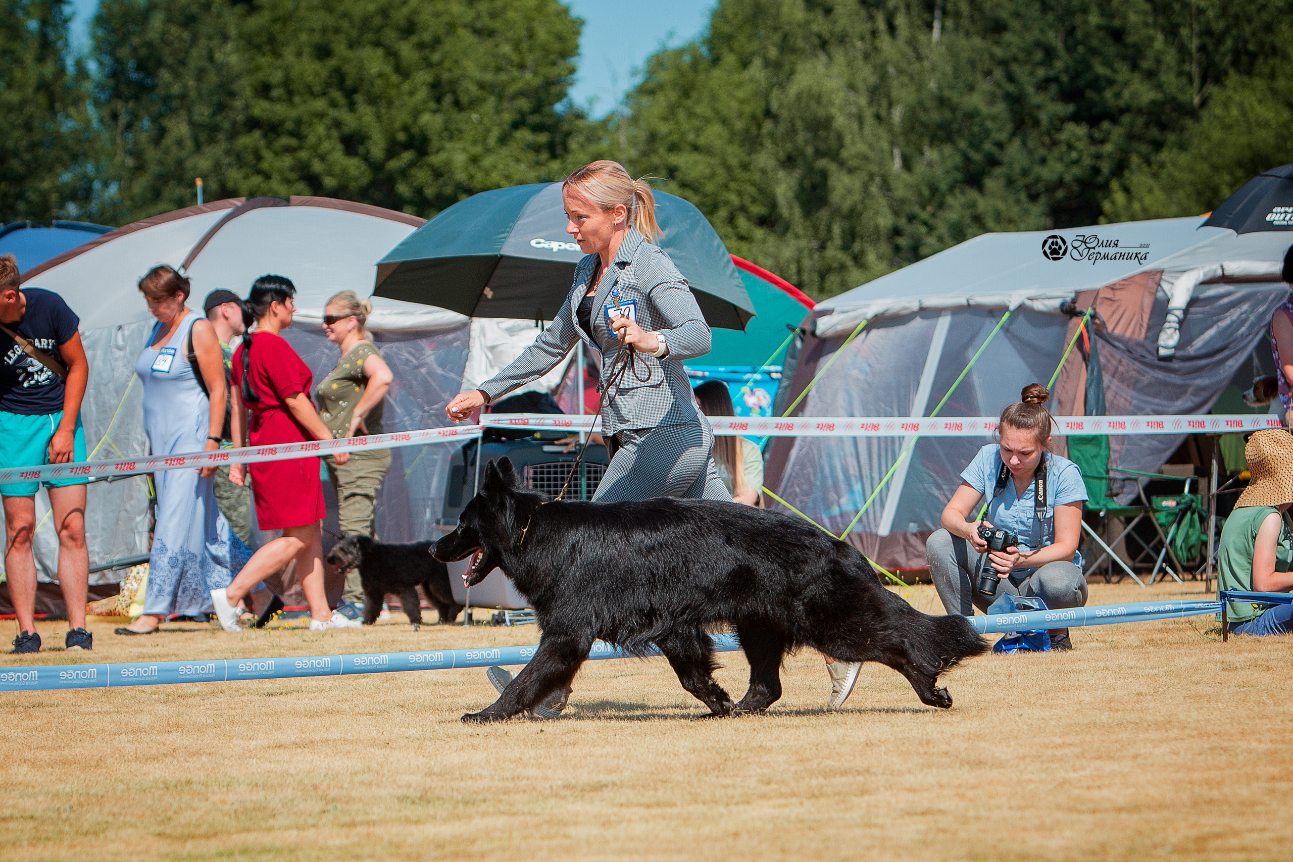 Ярославль CACIB 18 июля 2021. Фотограф-анималист Юлия Германика