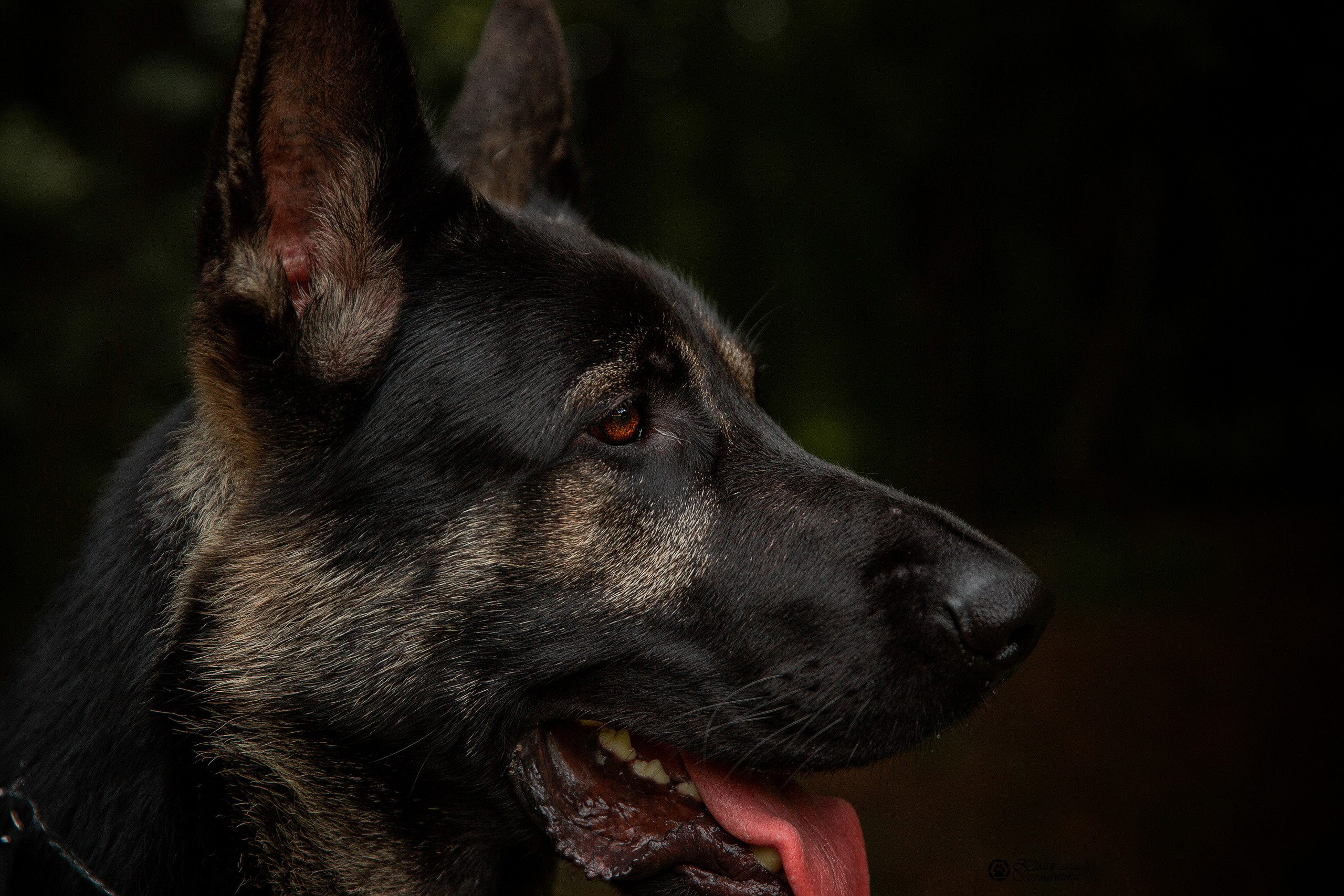 Сокольники CAC 22 августа 2021