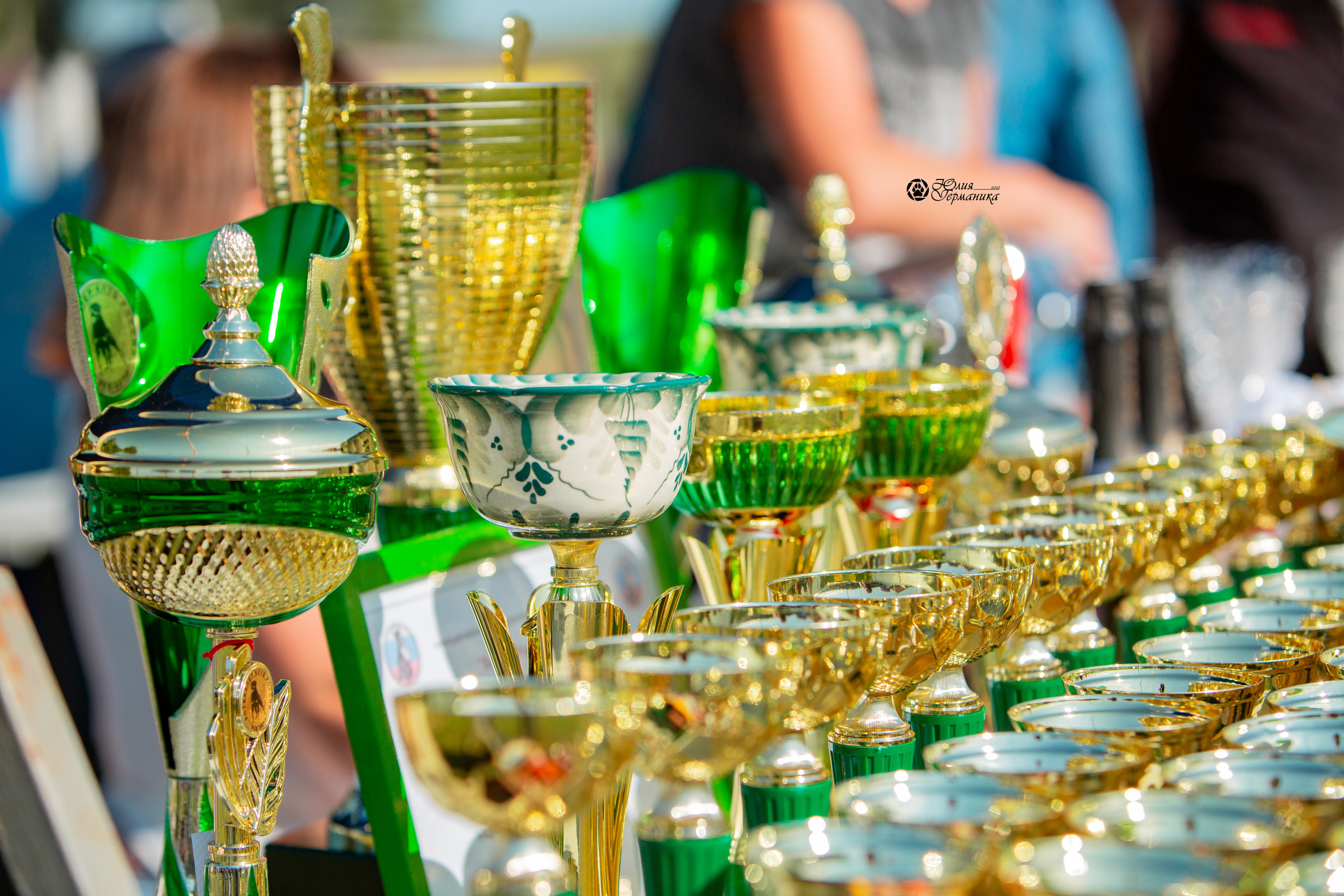 Рязань,Ховрино 14-15 августа 2021 моно ротвейлеров. Фотограф-анималист Юлия Германика