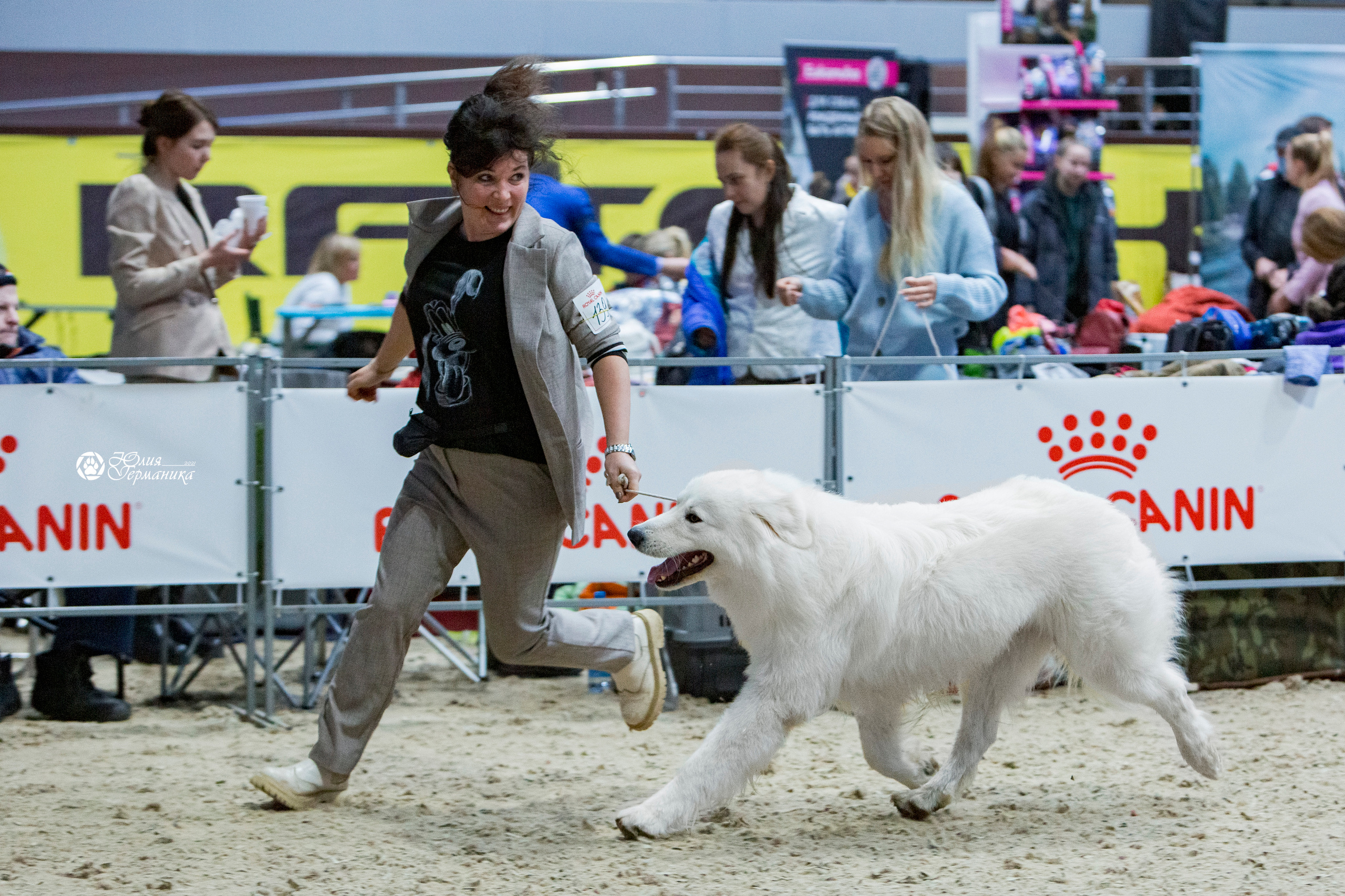 Минск 2хCACIB 27-28 ноября 2021. Фотограф-анималист Юлия Германика