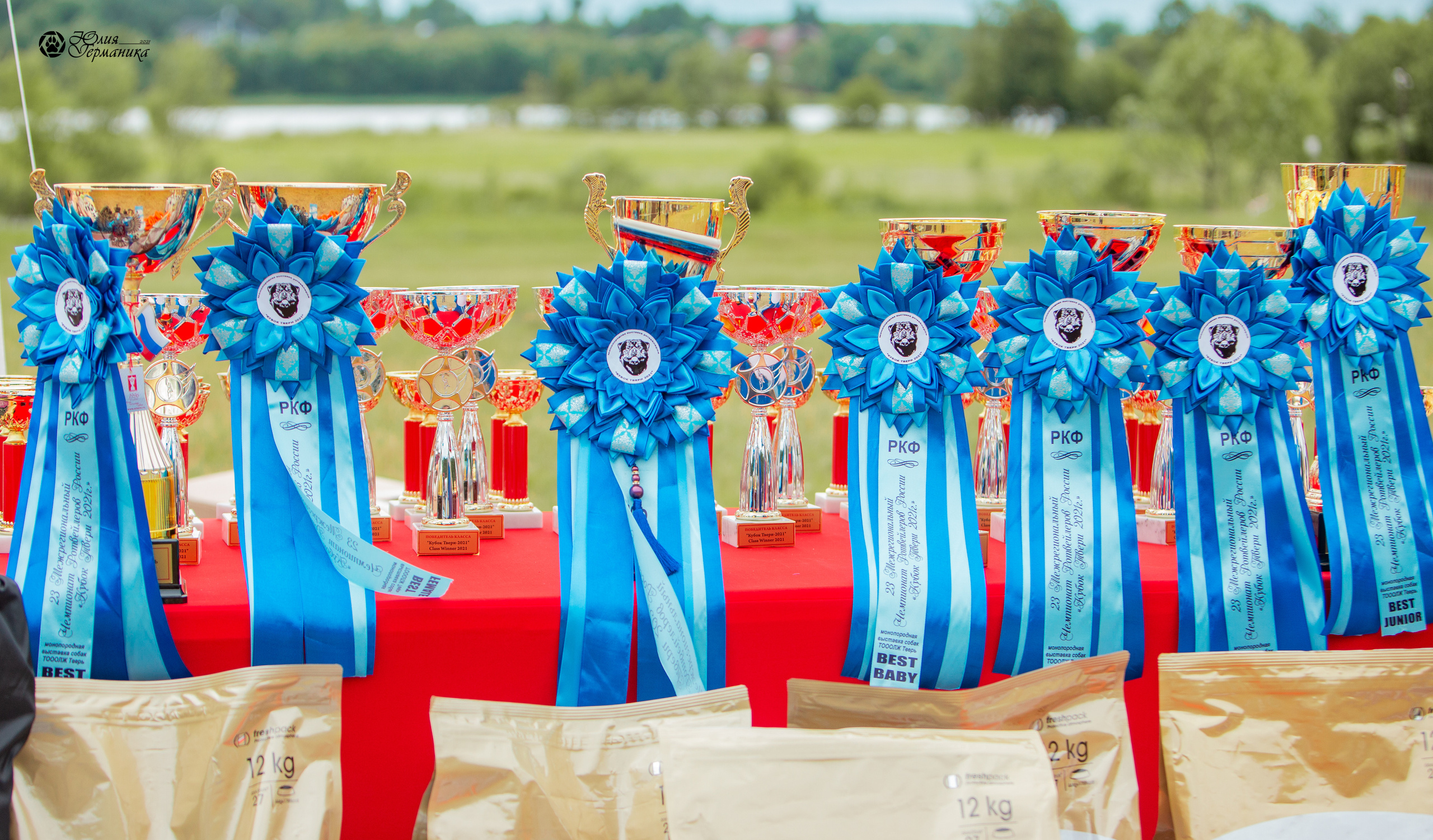 Тверь моно ротвейлеров 3-4 июля 2021. Фотограф-анималист Юлия Германика