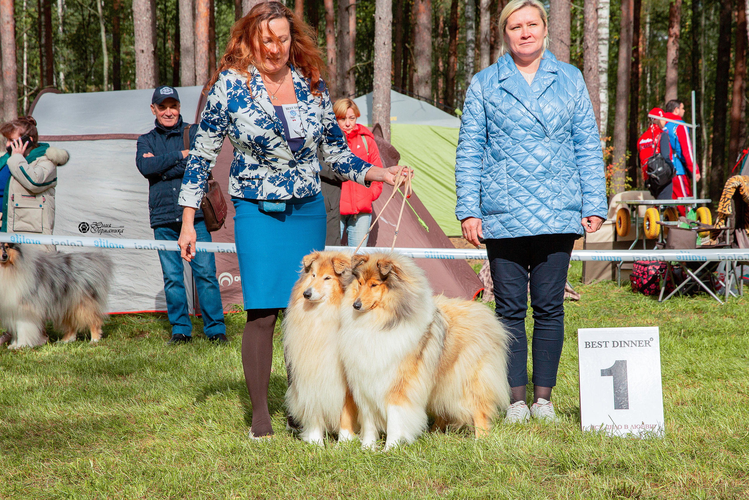 Псков 2xСАСIB 18-19 сентября 2021. Фотограф-анималист Юлия Германика
