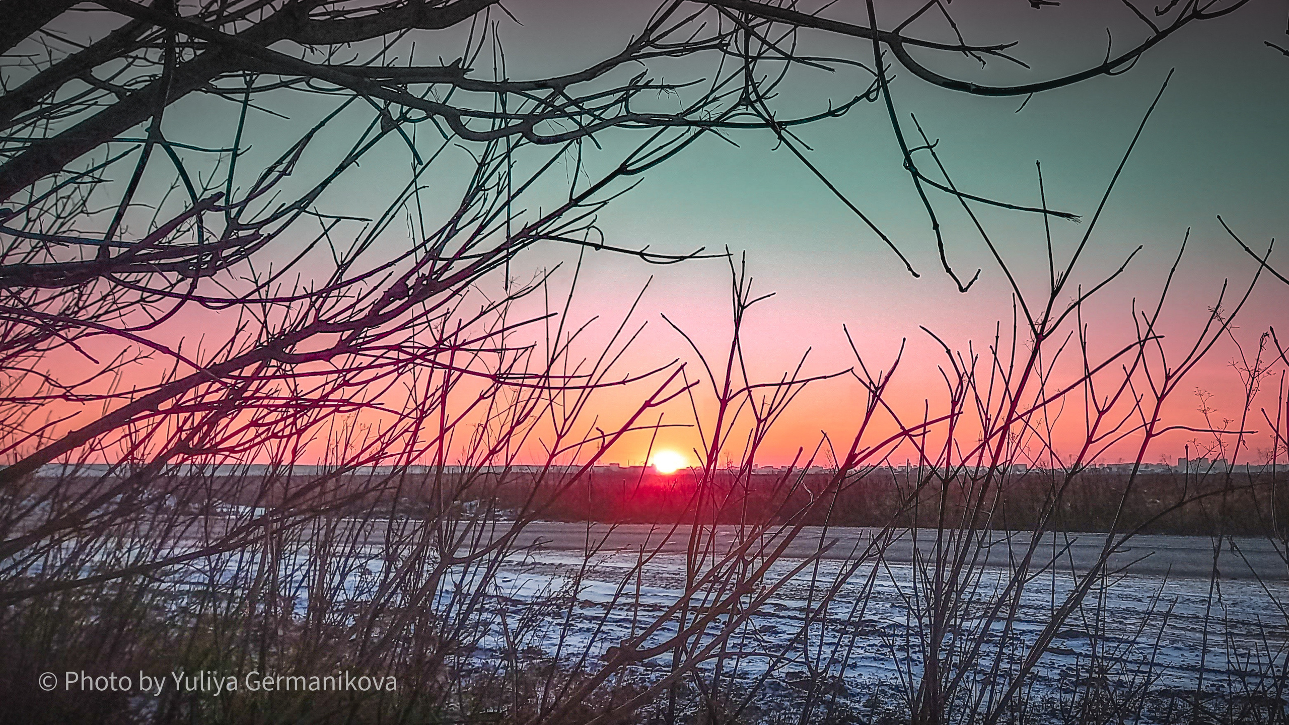 Разные фото на телефон.Города,природа. Фотограф-анималист Юлия Германика