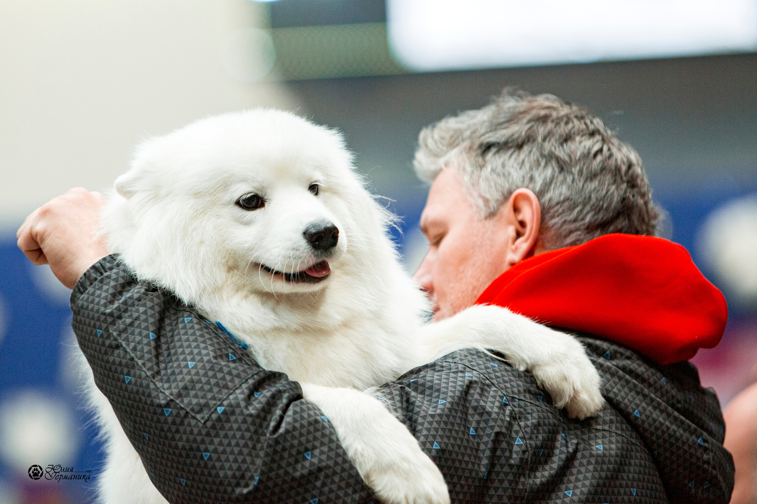 Минск 2хCACIB 27-28 ноября 2021. Фотограф-анималист Юлия Германика