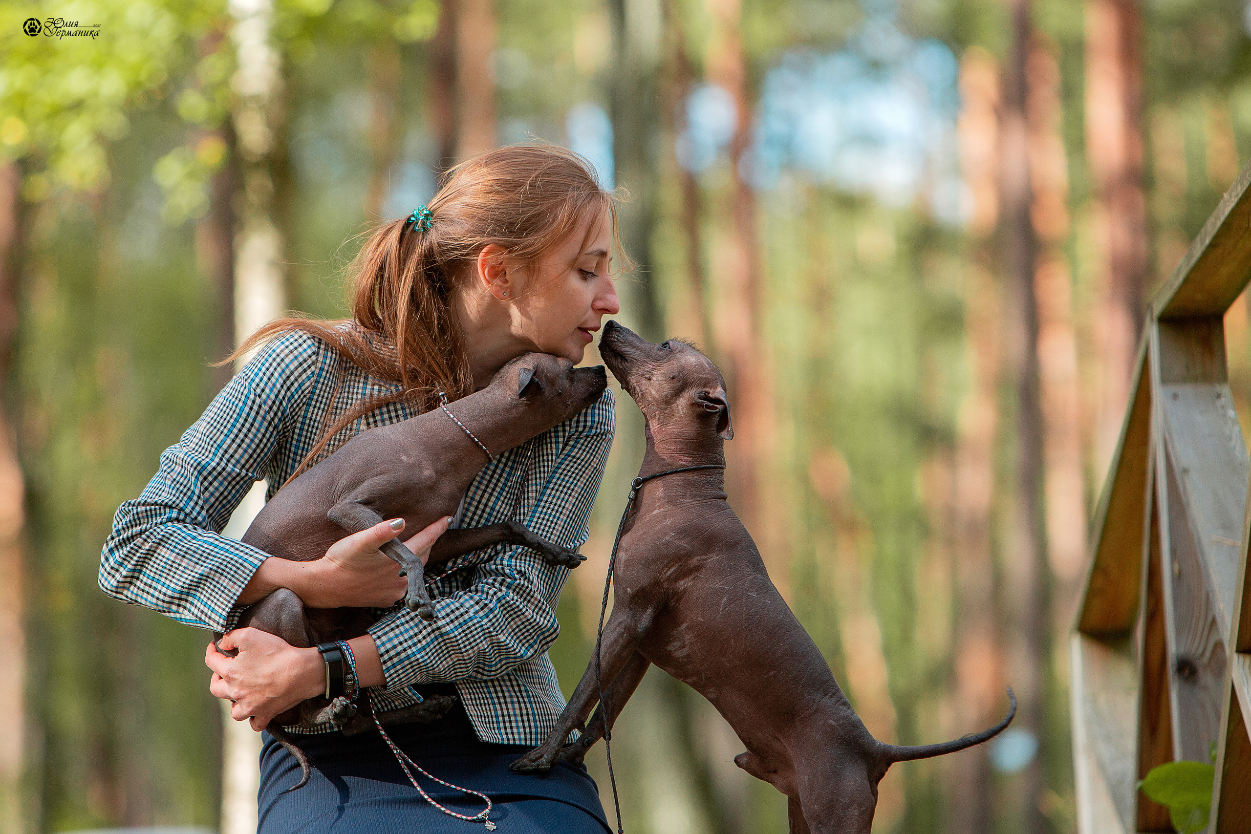 Свободная съемка. Фотограф-анималист Юлия Германика
