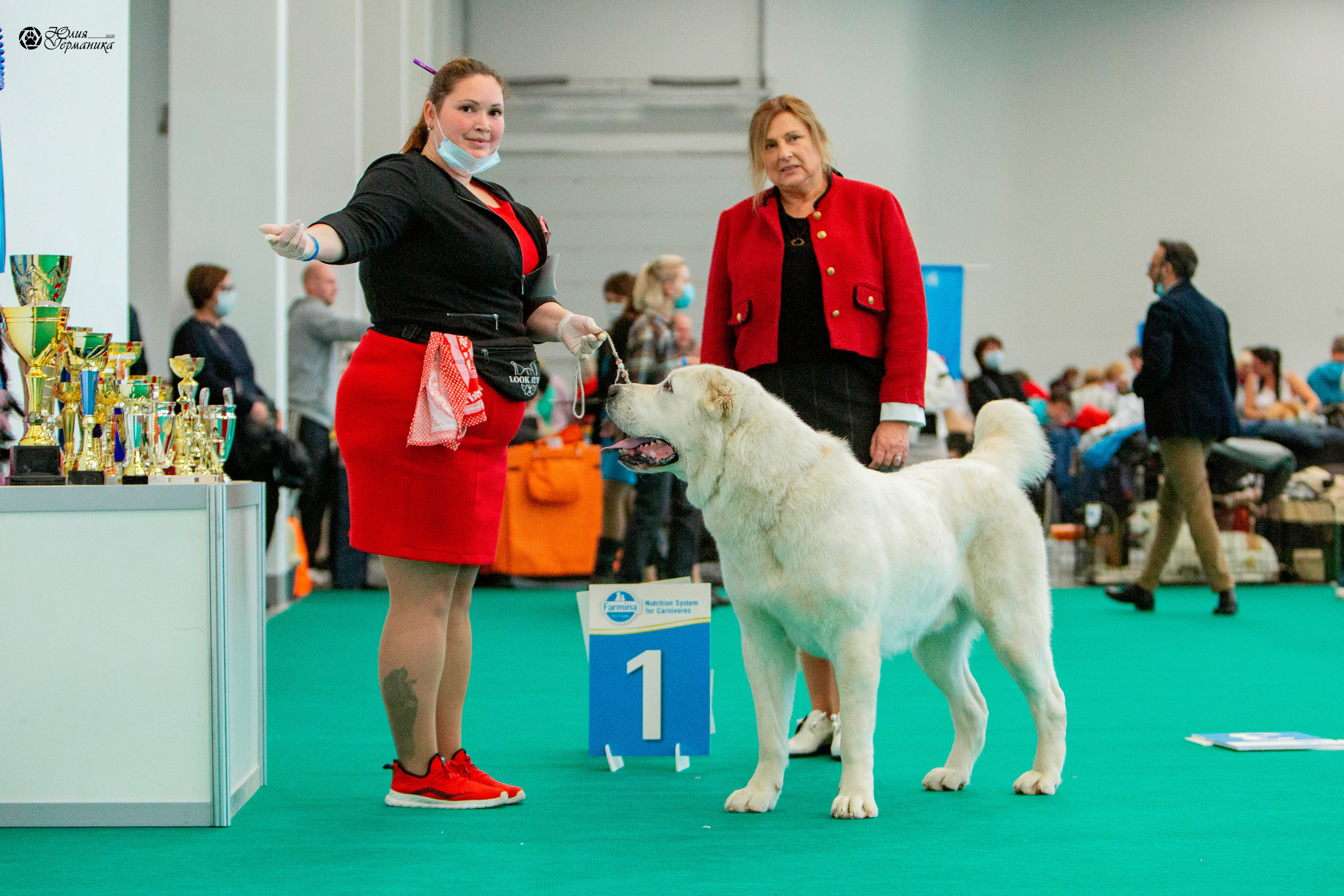 Нижний Новгород 3хCACIB 15-17 октября 2021. Фотограф-анималист Юлия Германика