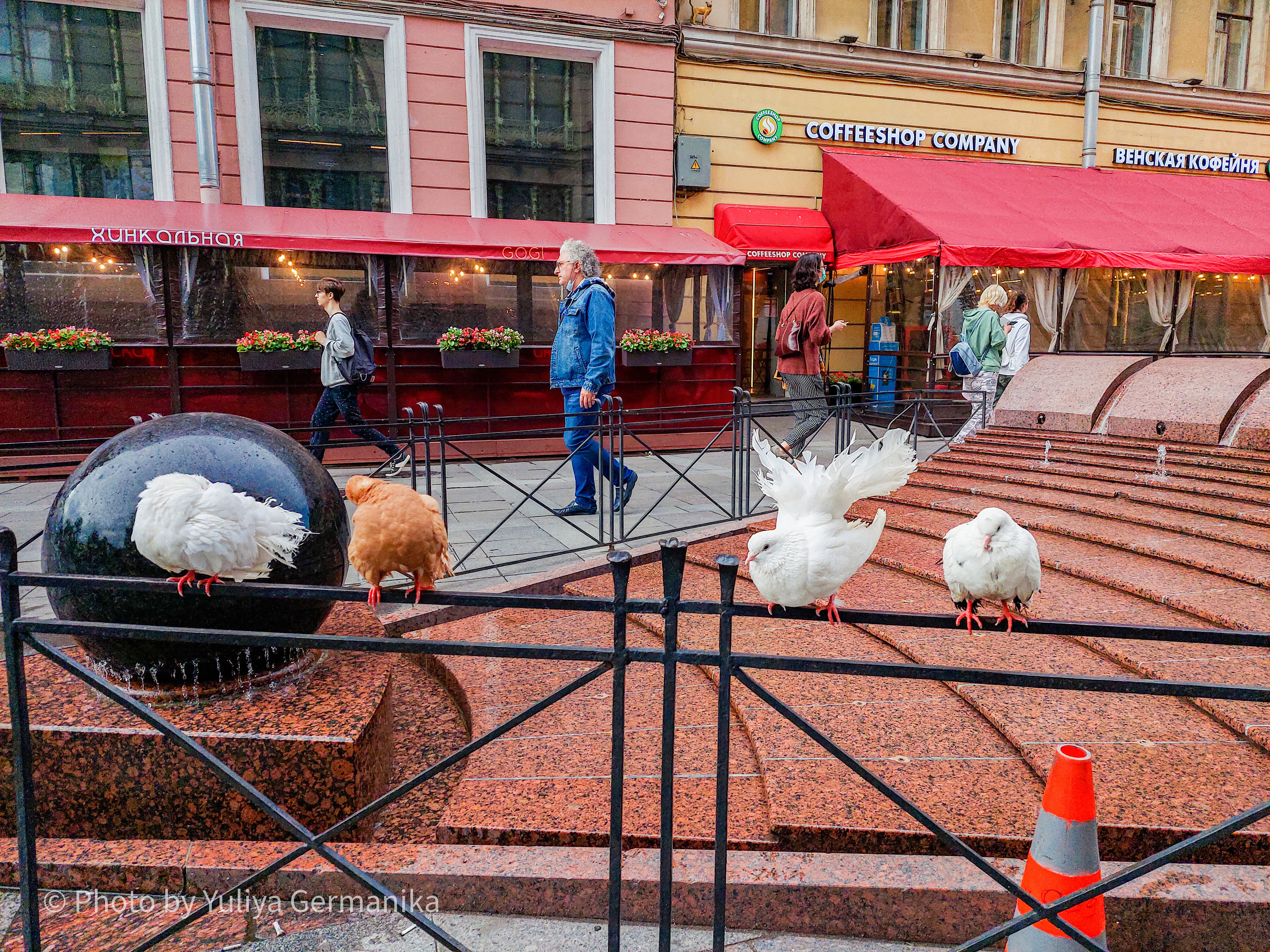 Разные фото на телефон.Города,природа. Фотограф-анималист Юлия Германика