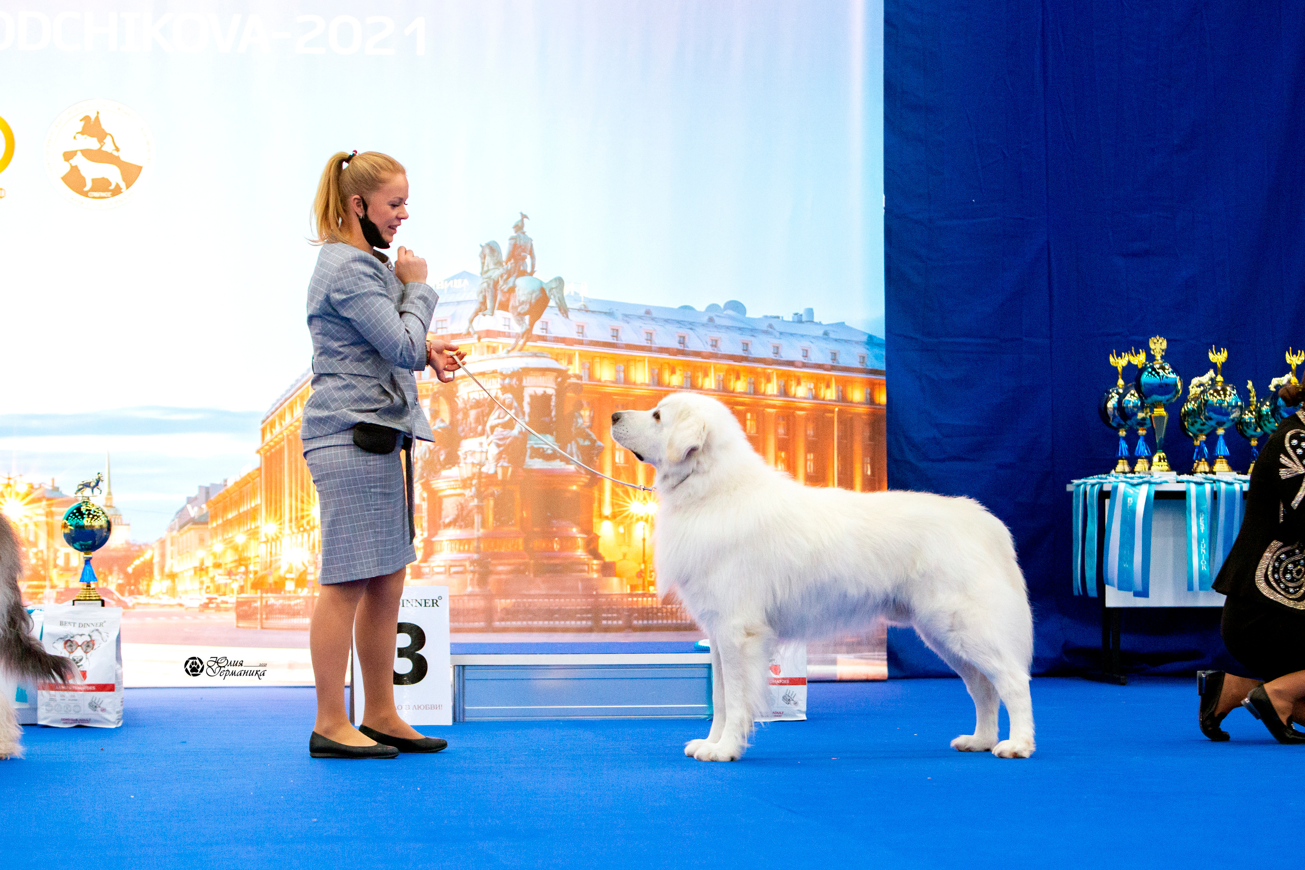 Санкт-Петербург 3хCACIB 10-12 декабря 2021. Фотограф-анималист Юлия Германика