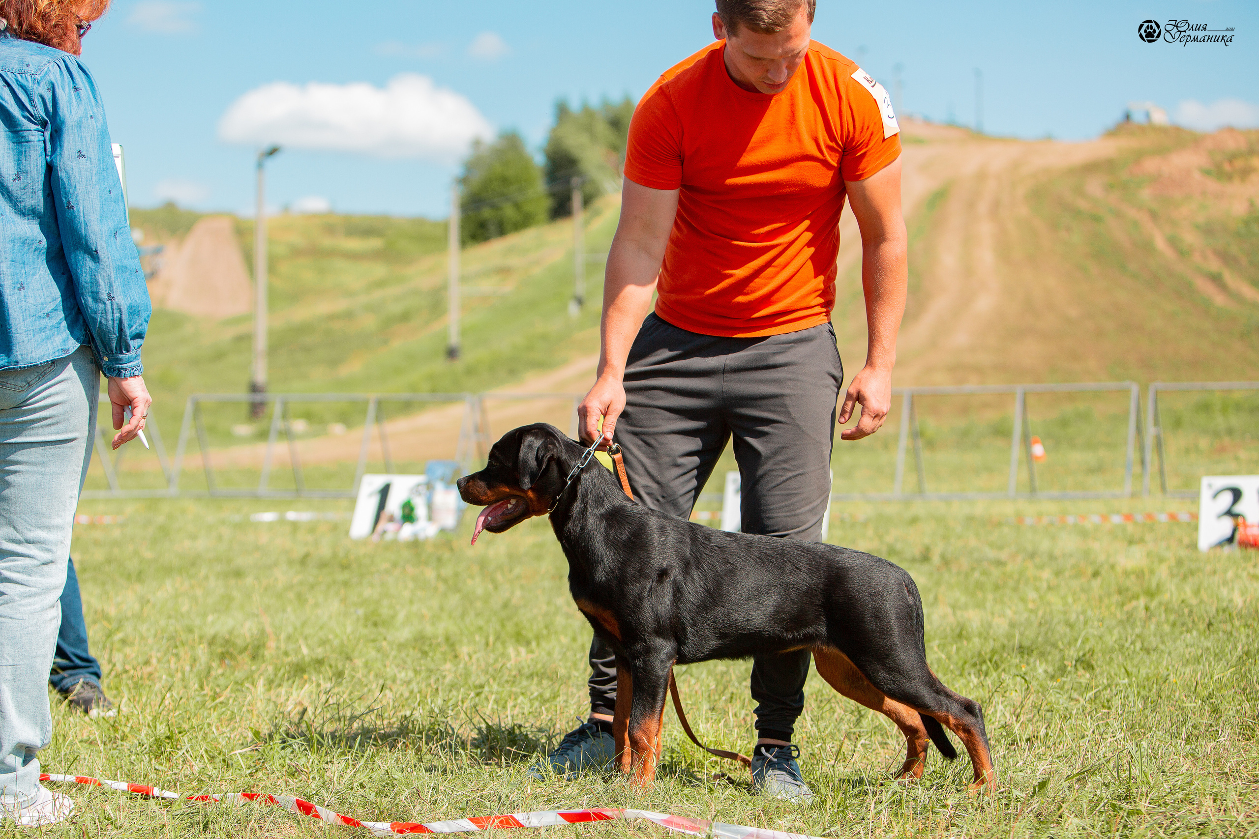 Рязань,Ховрино 14-15 августа 2021 моно ротвейлеров. Фотограф-анималист Юлия Германика