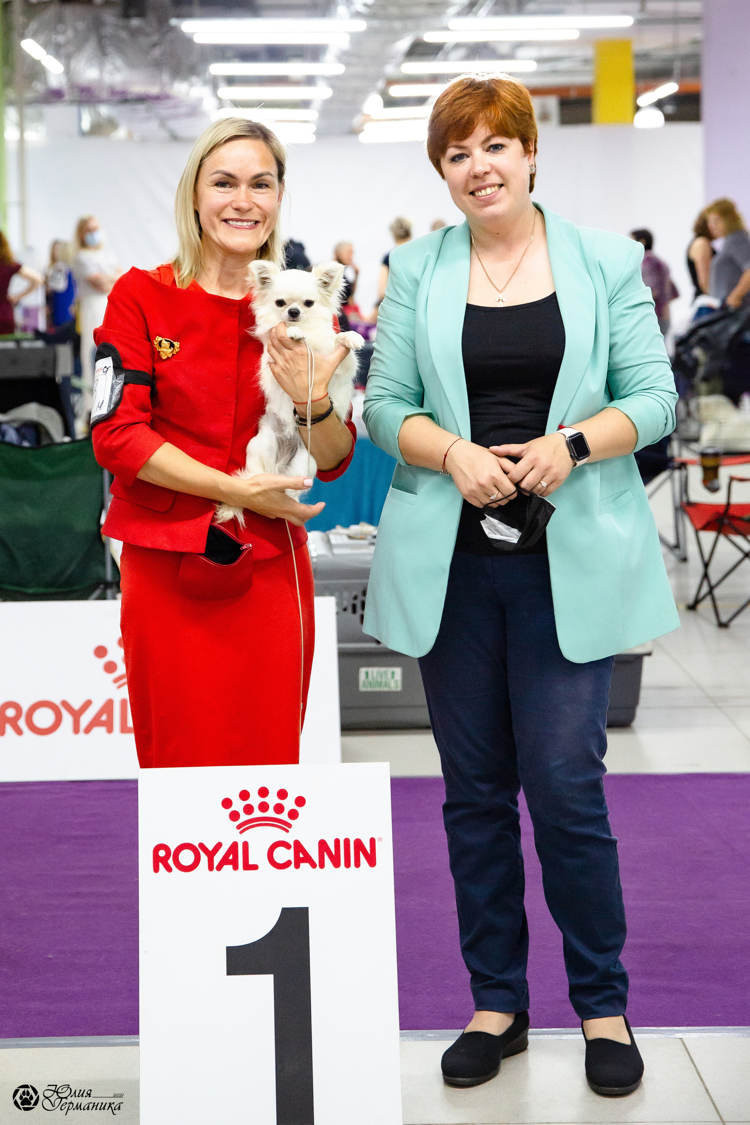 Чайна-Таун 2021. Фотограф-анималист Юлия Германика