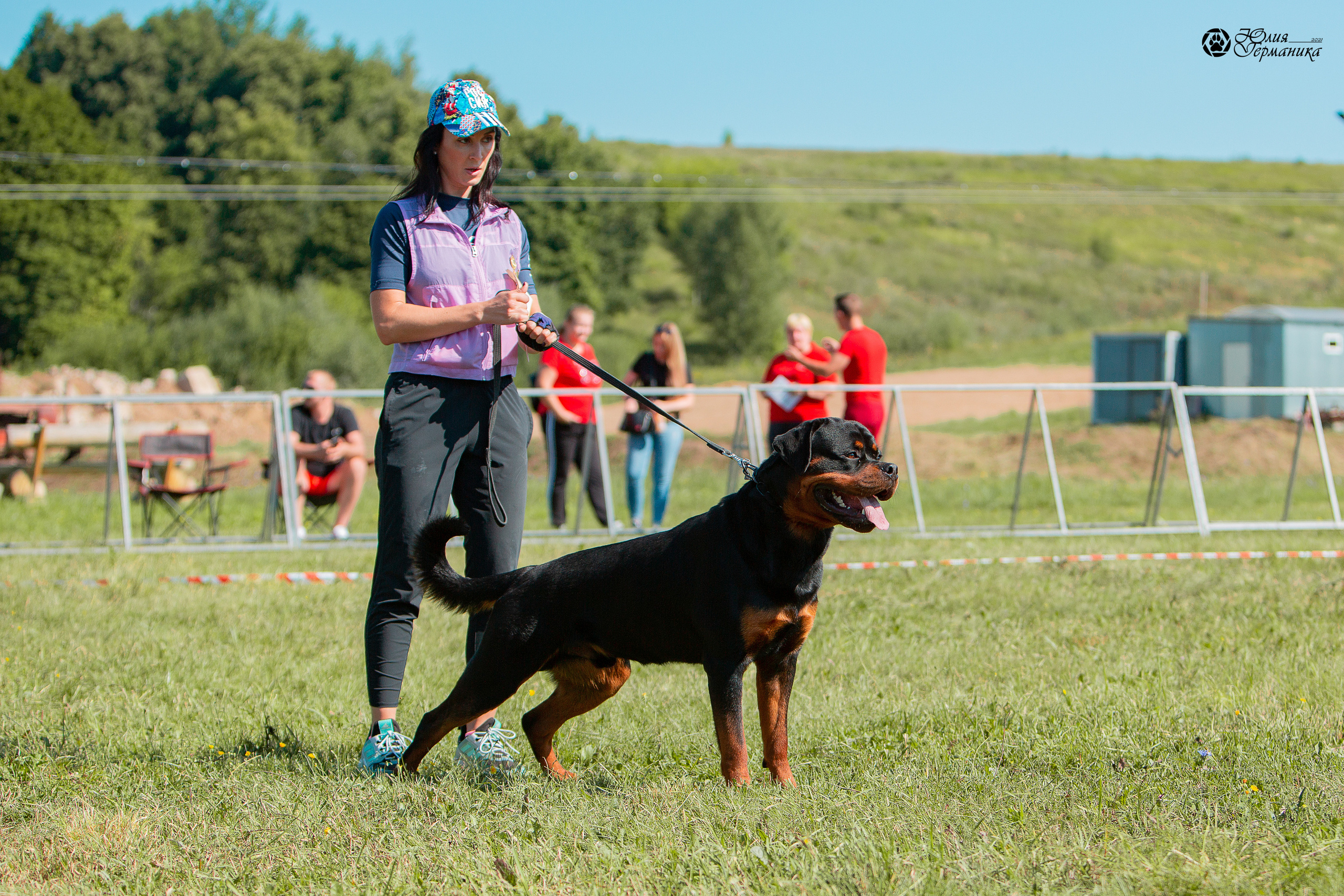 Рязань,Ховрино 14-15 августа 2021 моно ротвейлеров. Фотограф-анималист Юлия Германика
