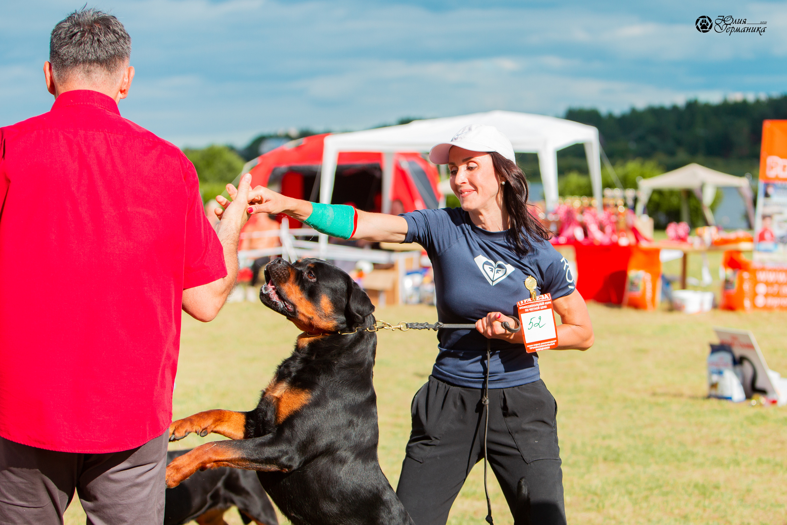 Тверь моно ротвейлеров 3-4 июля 2021. Фотограф-анималист Юлия Германика