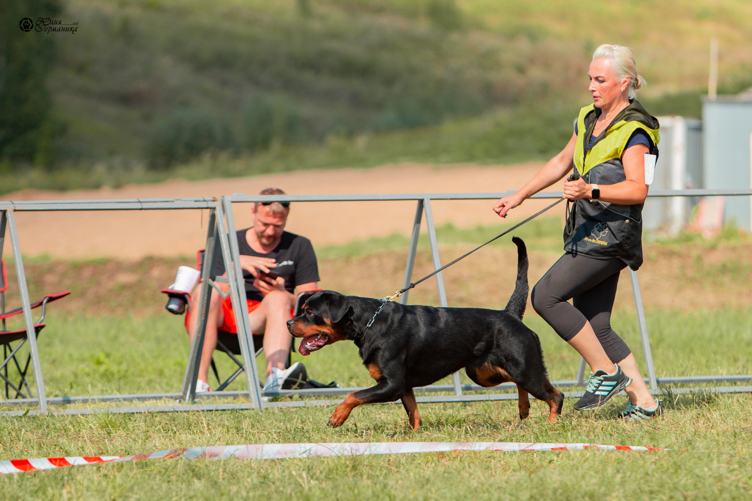 Рязань,Ховрино 14-15 августа 2021 моно ротвейлеров. Фотограф-анималист Юлия Германика