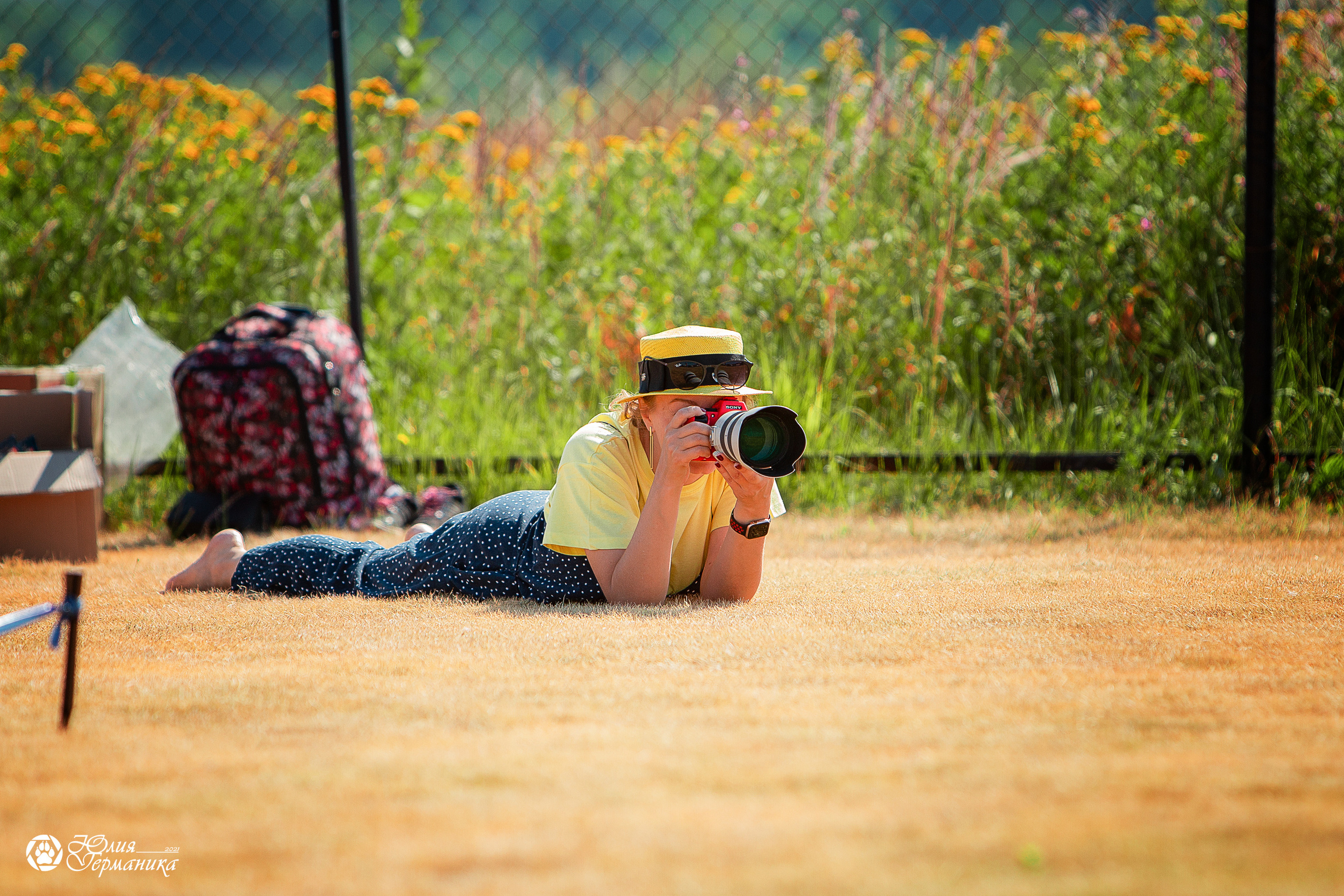 Ярославль CACIB 18 июля 2021. Фотограф-анималист Юлия Германика