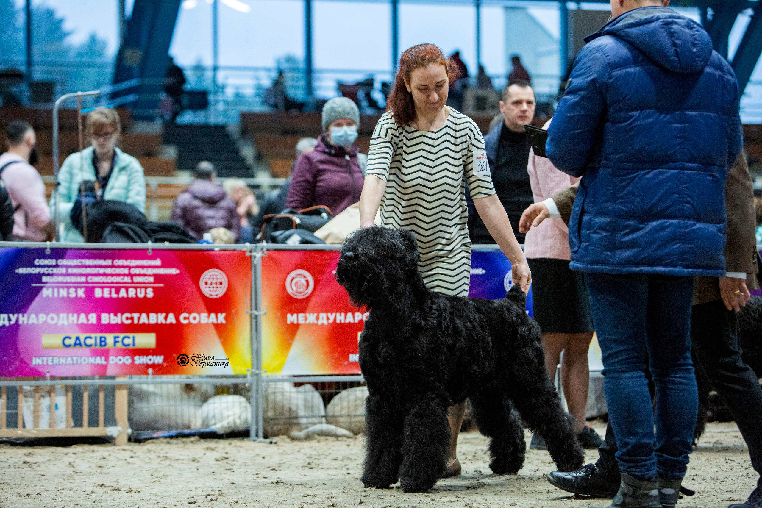 Минск 2хCACIB 27-28 ноября 2021. Фотограф-анималист Юлия Германика