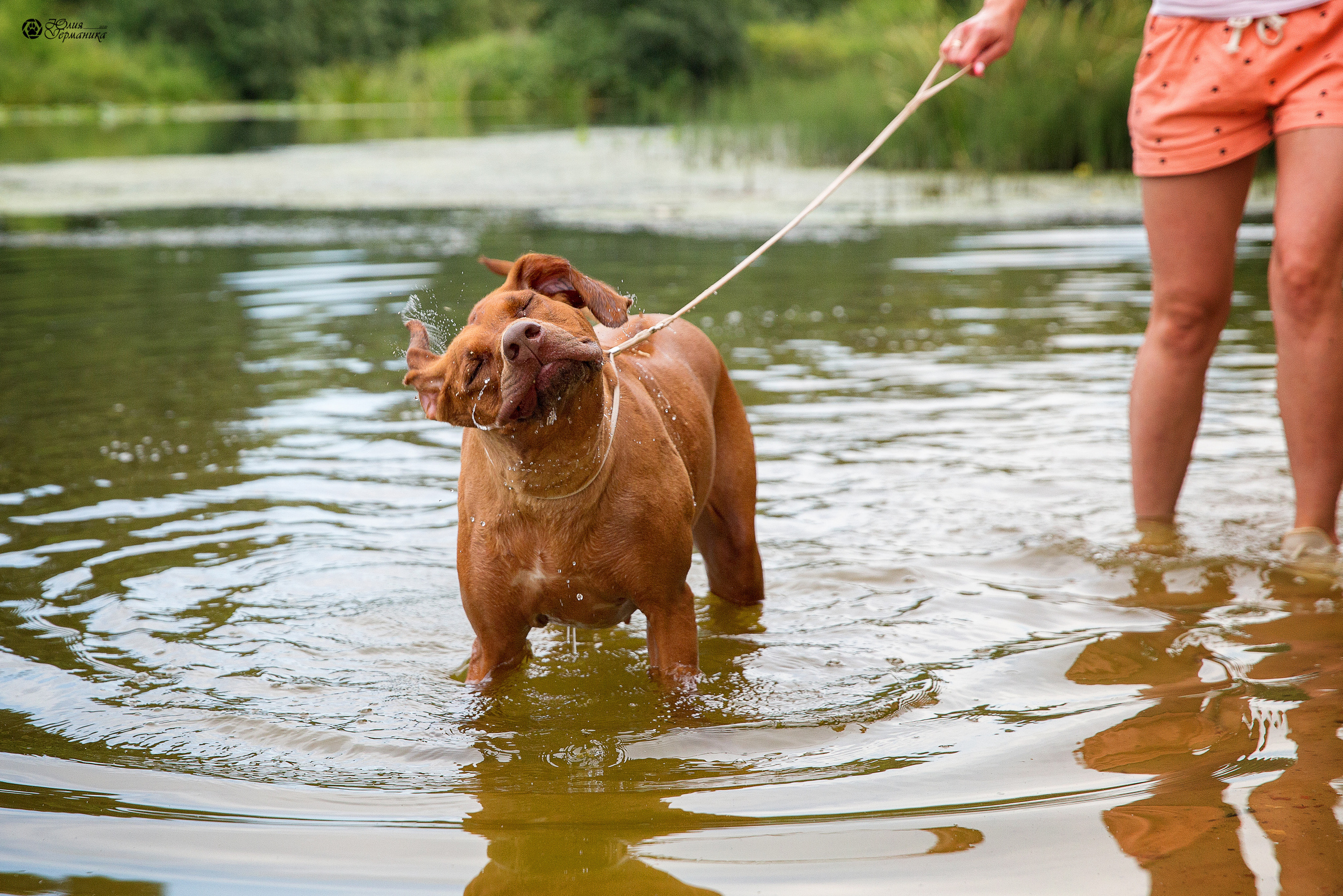 Свободная съемка. Фотограф-анималист Юлия Германика