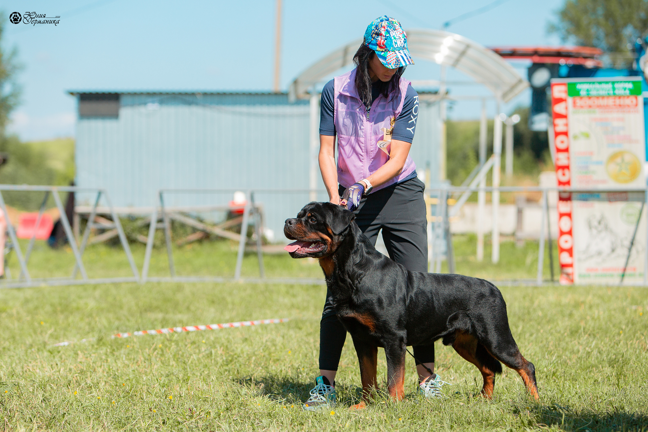 Рязань,Ховрино 14-15 августа 2021 моно ротвейлеров. Фотограф-анималист Юлия Германика