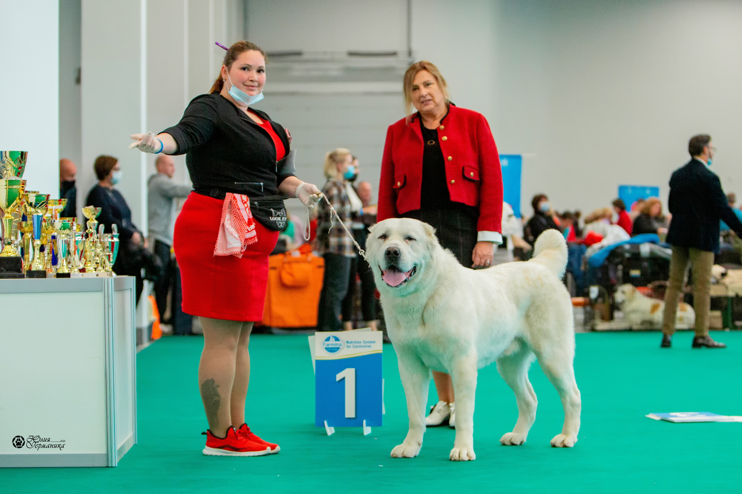 Нижний Новгород 3хCACIB 15-17 октября 2021. Фотограф-анималист Юлия Германика