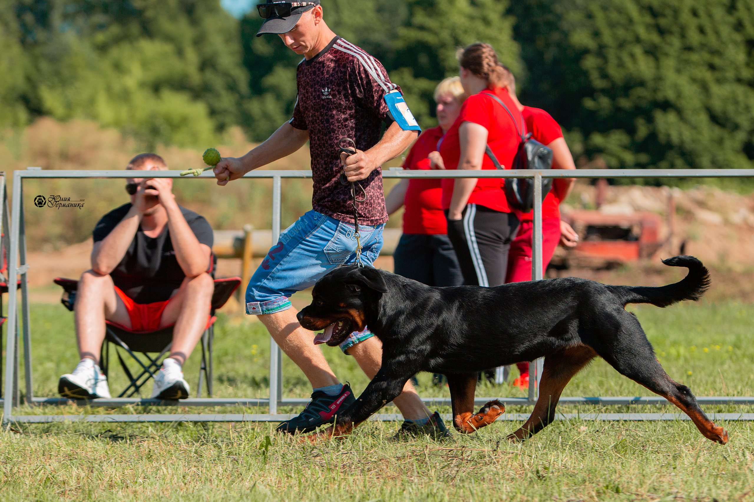 Рязань,Ховрино 14-15 августа 2021 моно ротвейлеров. Фотограф-анималист Юлия Германика