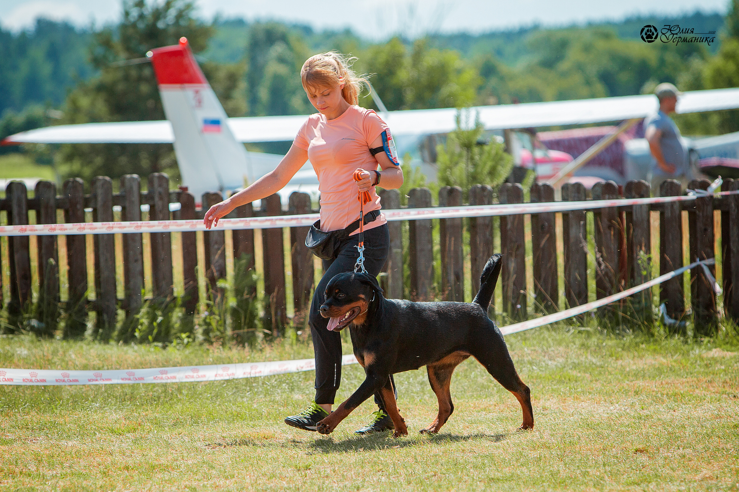 Тверь моно ротвейлеров 3-4 июля 2021. Фотограф-анималист Юлия Германика