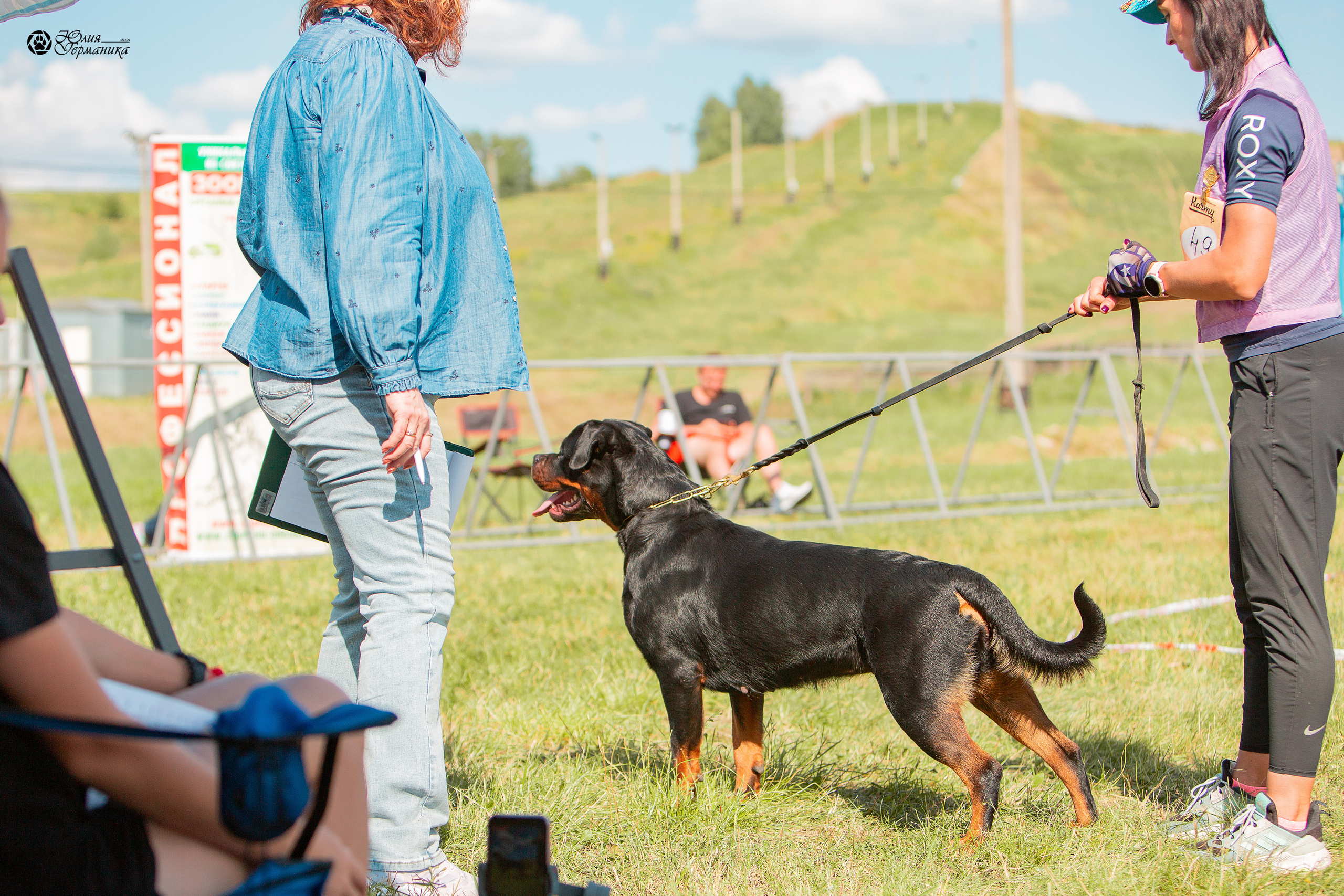 Рязань,Ховрино 14-15 августа 2021 моно ротвейлеров. Фотограф-анималист Юлия Германика