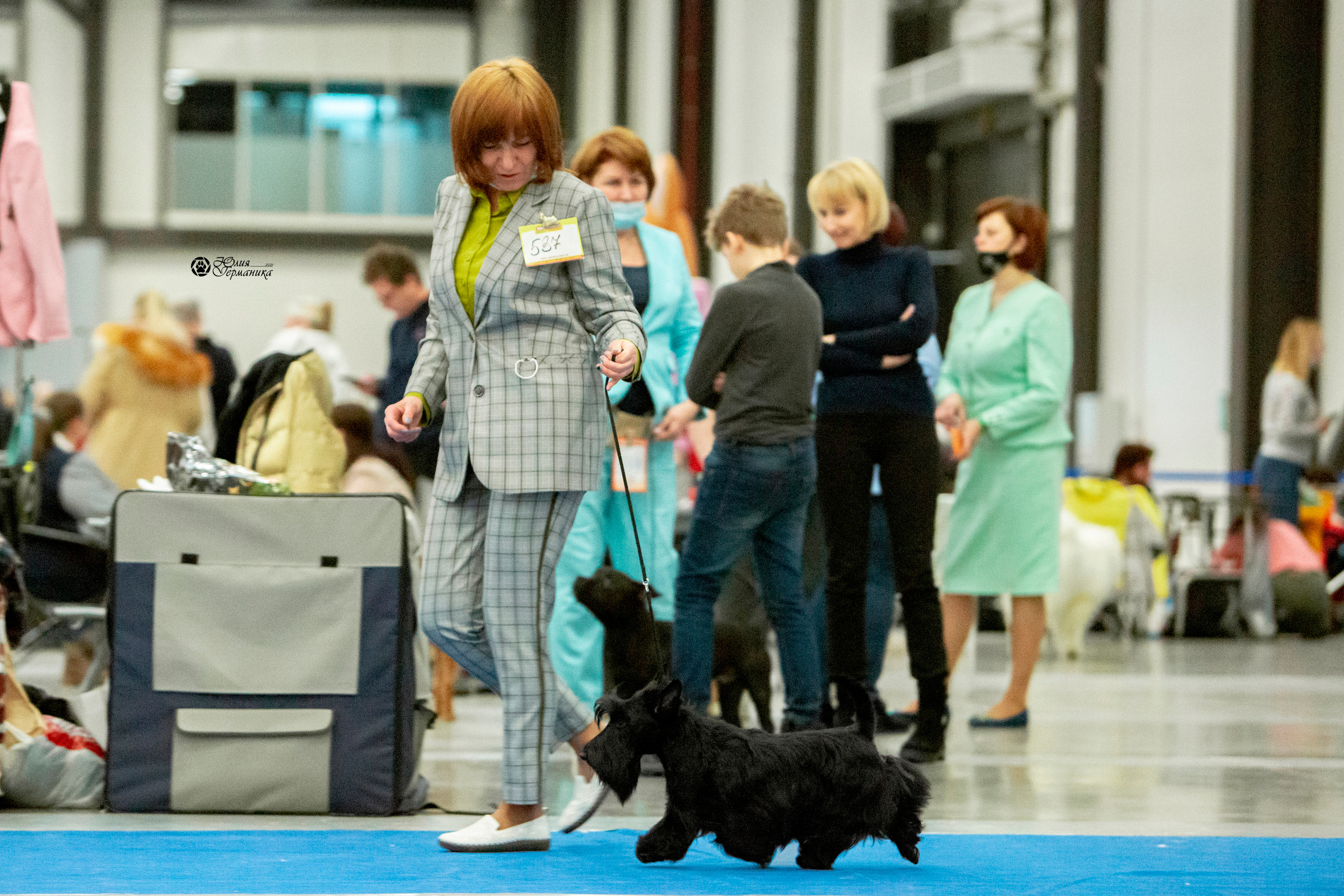 Санкт-Петербург 3хCACIB 10-12 декабря 2021. Фотограф-анималист Юлия Германика