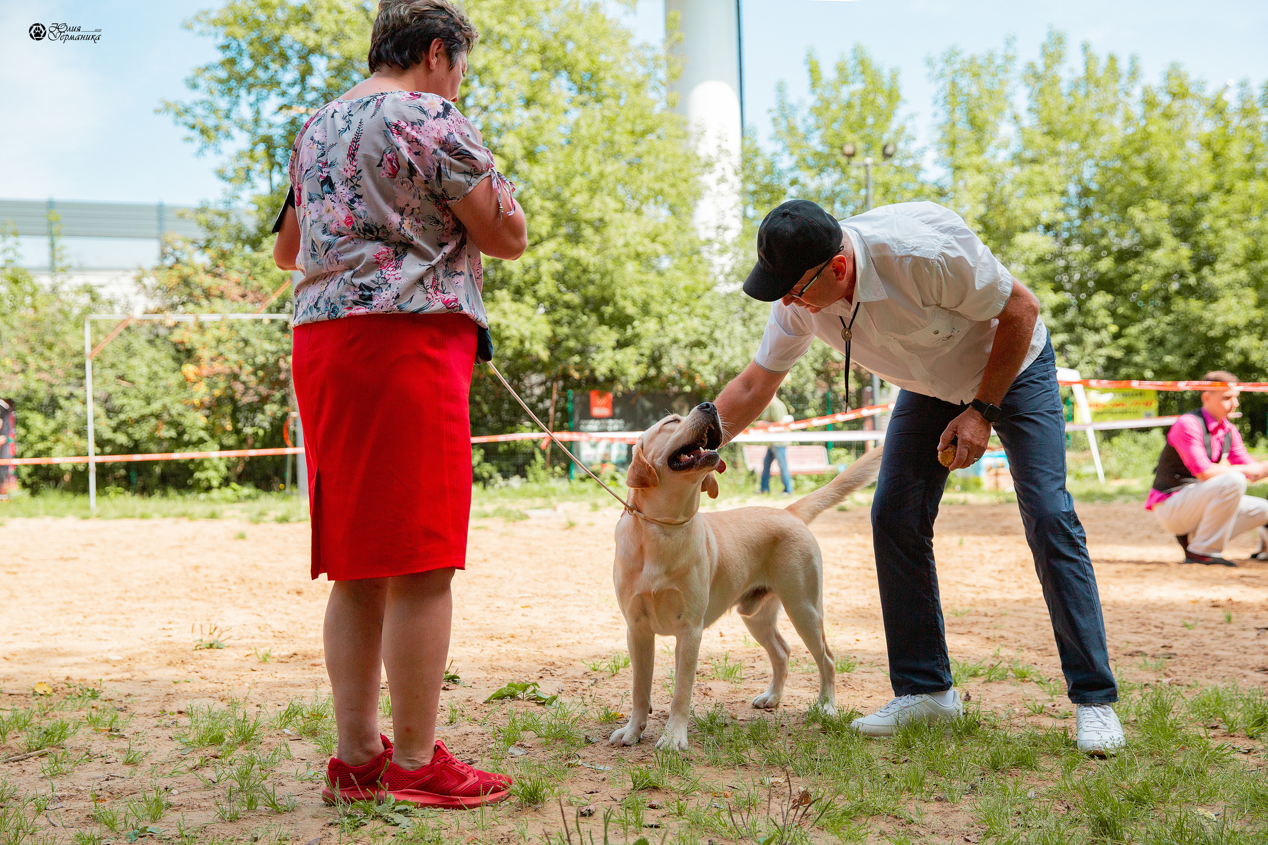 Ховрино фестиваль монопородок 15 августа 2021. Фотограф-анималист Юлия Германика