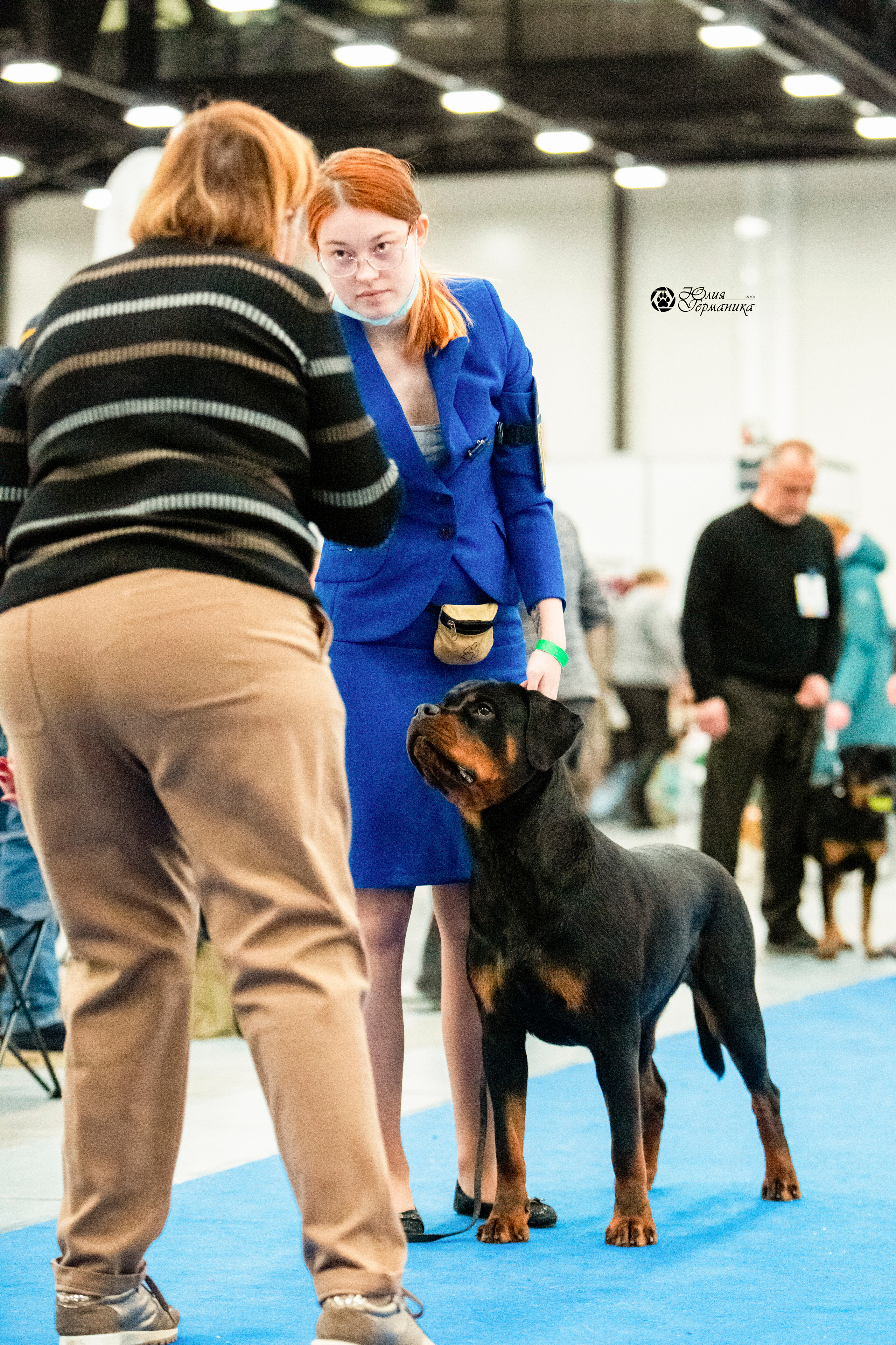 Санкт-Петербург 3хCACIB 10-12 декабря 2021. Фотограф-анималист Юлия Германика
