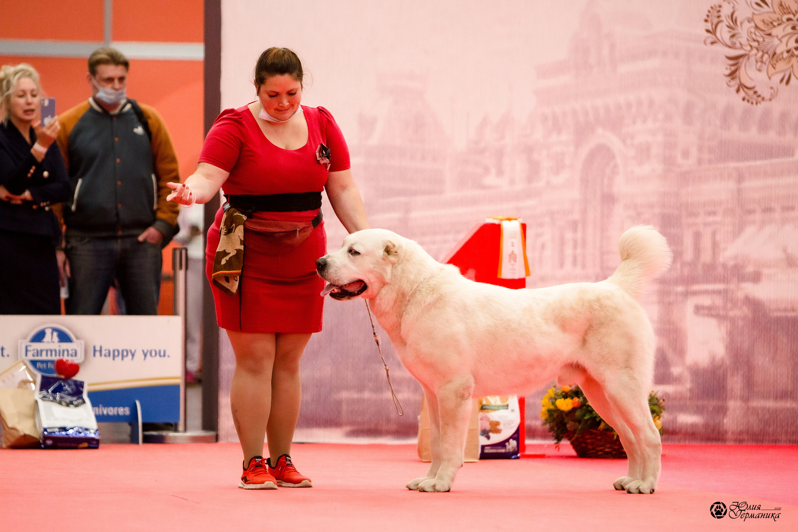 Нижний Новгород 3хCACIB 15-17 октября 2021. Фотограф-анималист Юлия Германика