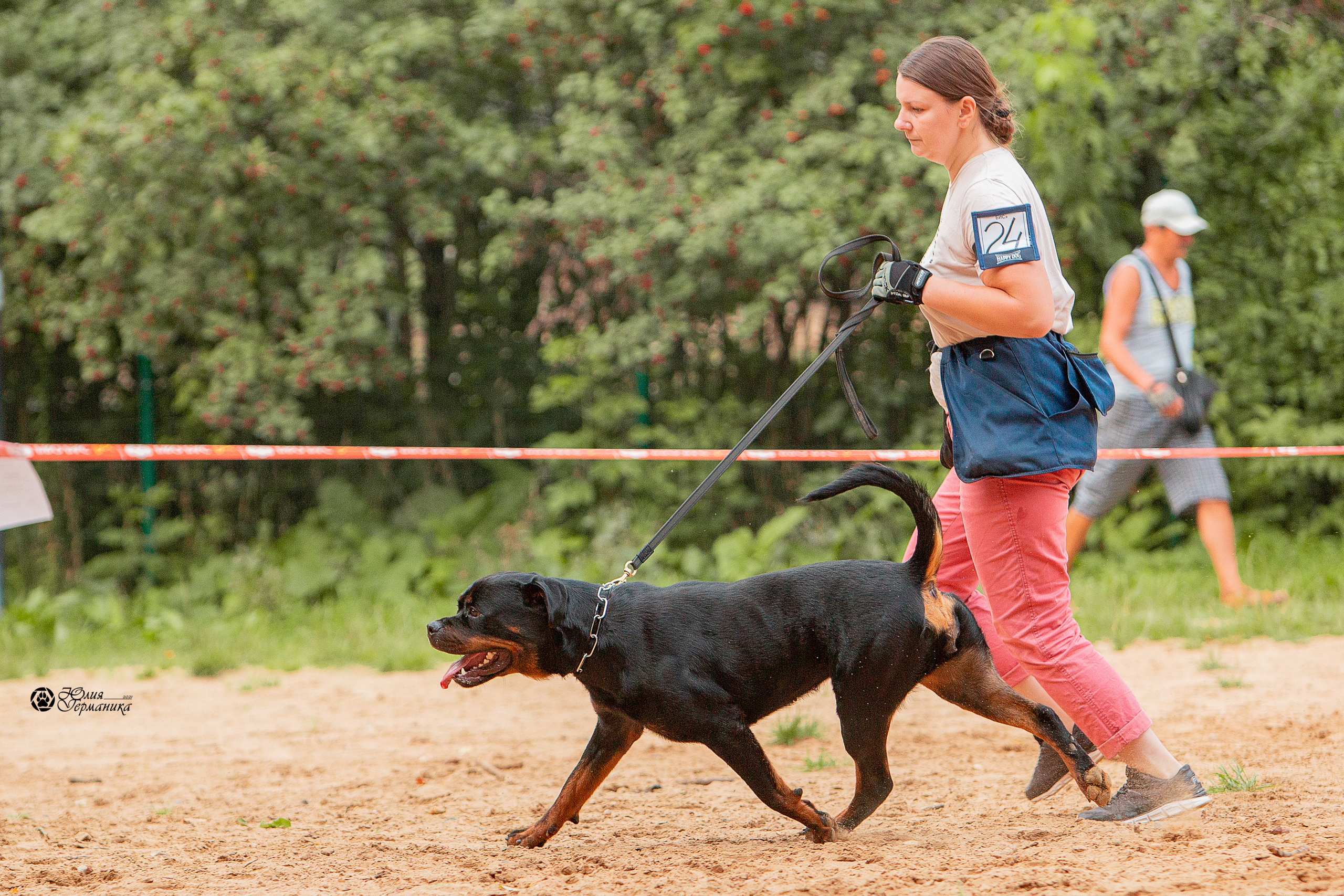 Рязань,Ховрино 14-15 августа 2021 моно ротвейлеров. Фотограф-анималист Юлия Германика