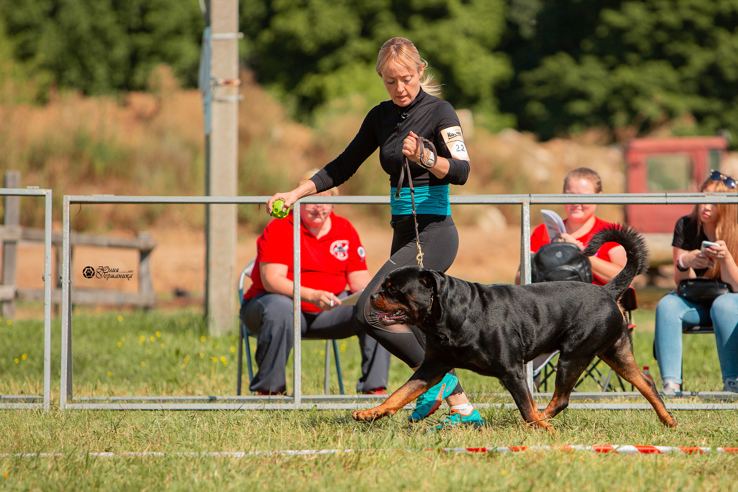 Рязань,Ховрино 14-15 августа 2021 моно ротвейлеров. Фотограф-анималист Юлия Германика