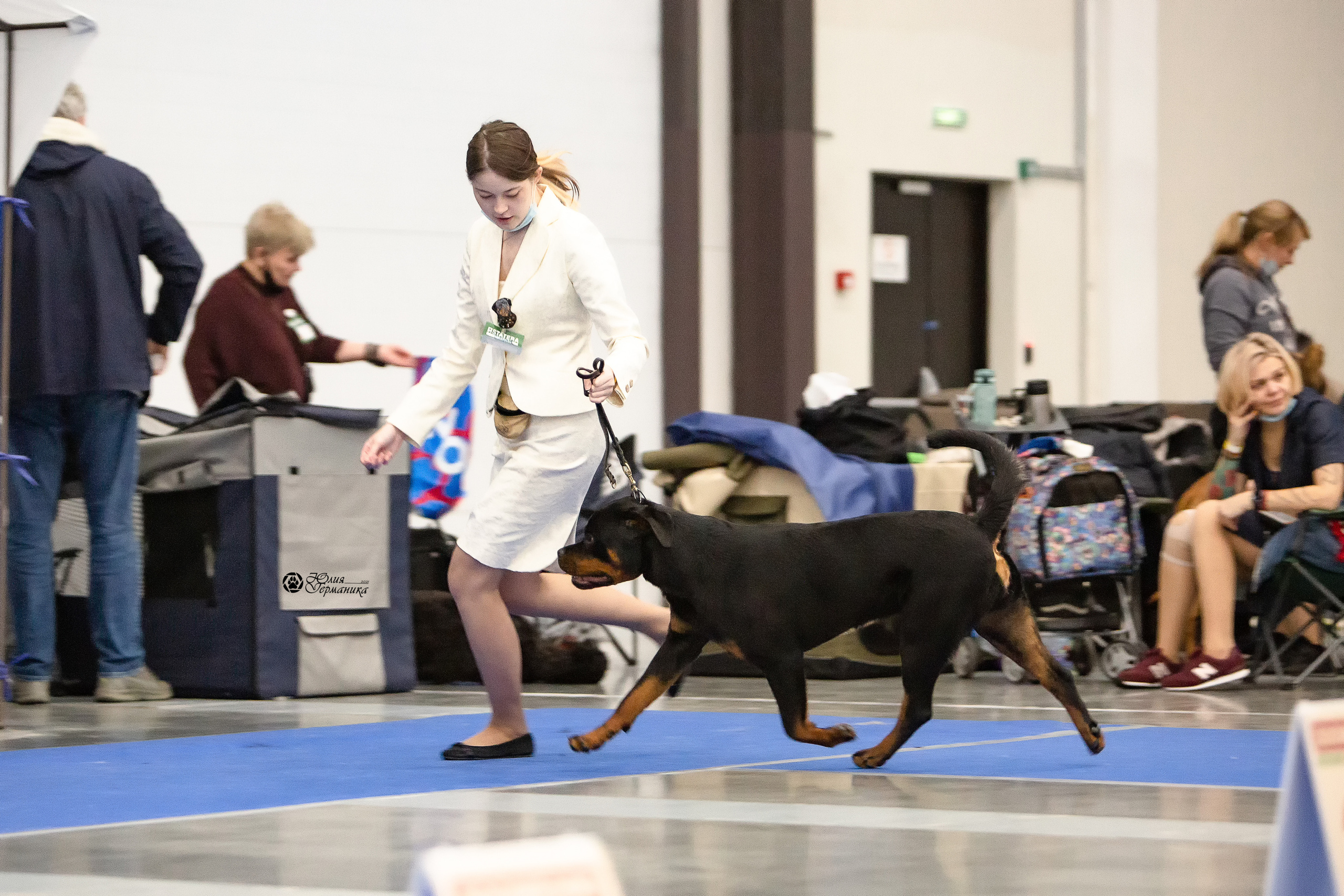 Питер 4 CACIB 22-25 октября 2021. Фотограф-анималист Юлия Германика