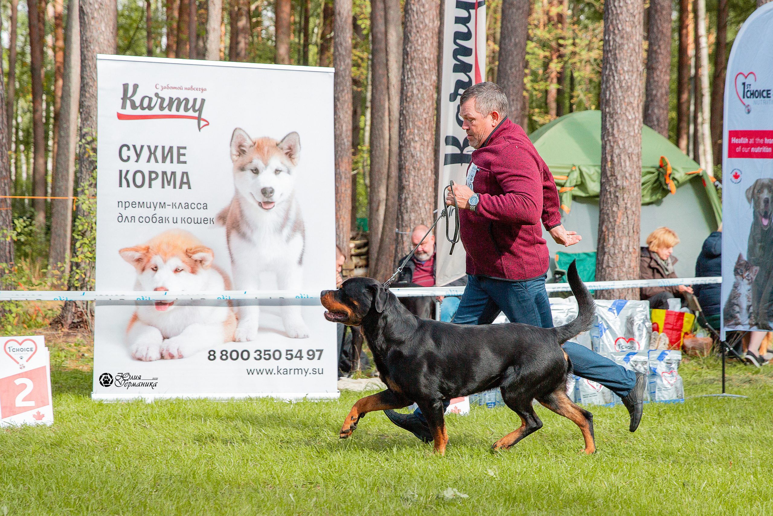 Псков 2xСАСIB 18-19 сентября 2021. Фотограф-анималист Юлия Германика