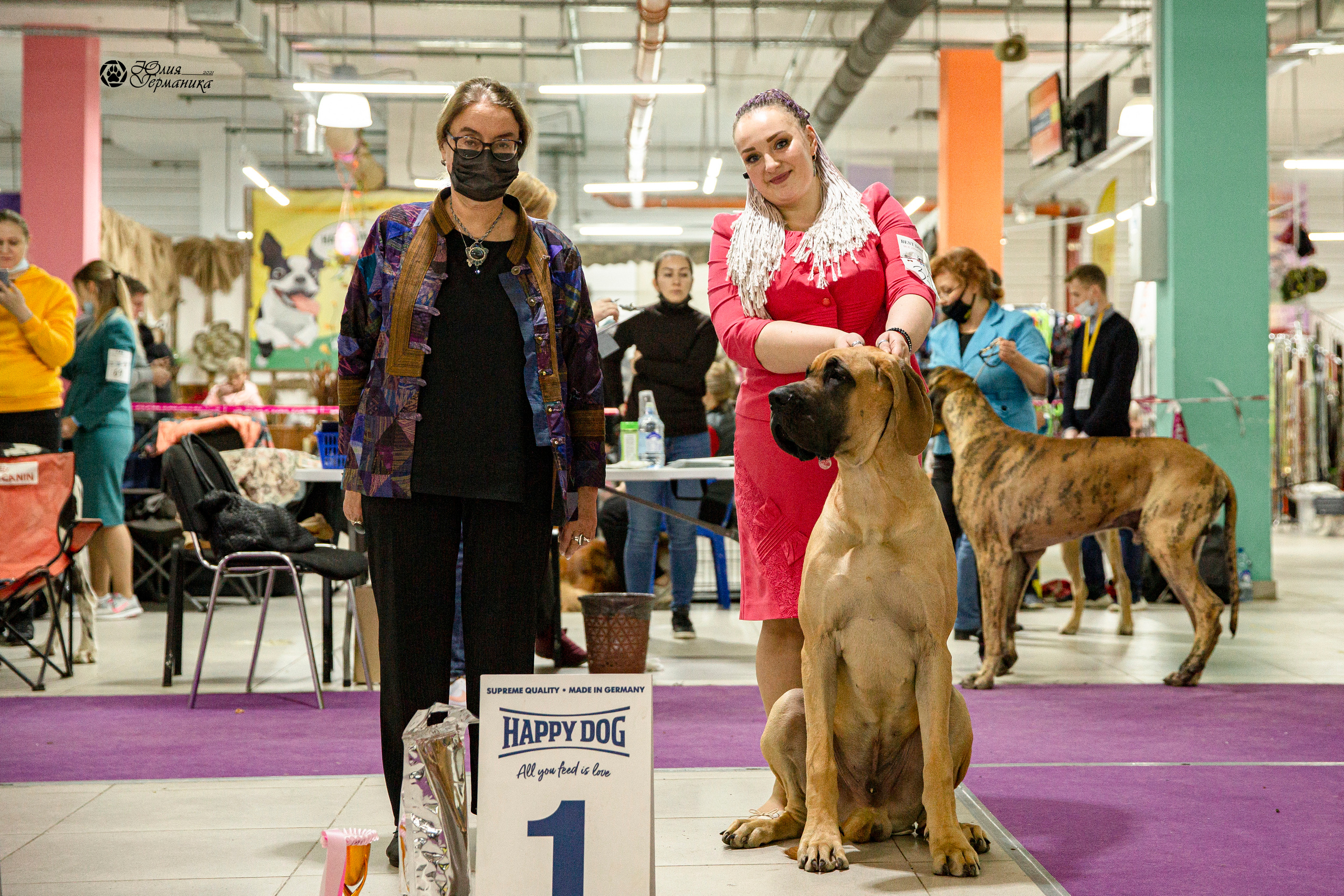 Чайник  13-14 ноября 2021. Фотограф-анималист Юлия Германика