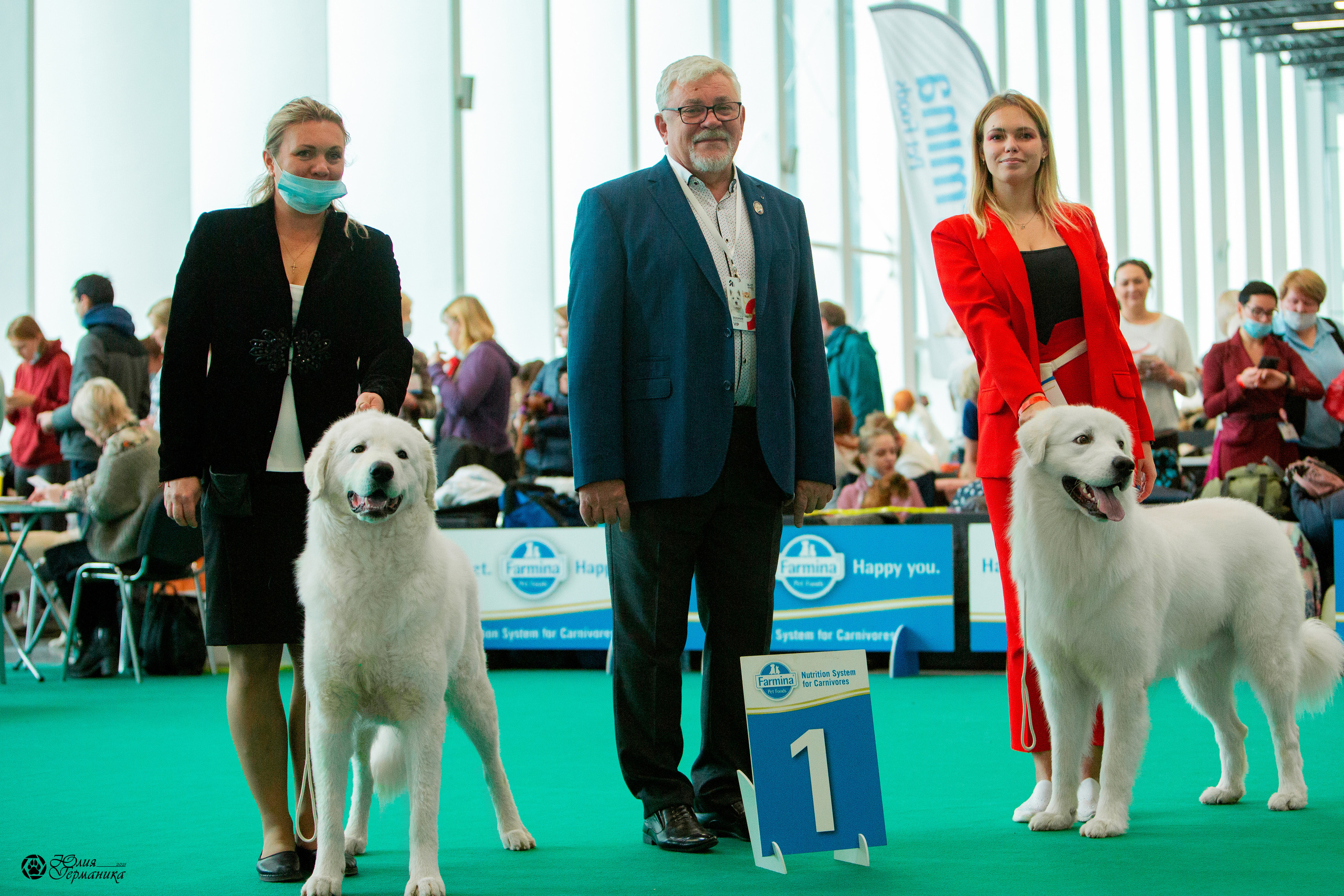 Нижний Новгород 3хCACIB 15-17 октября 2021. Фотограф-анималист Юлия Германика