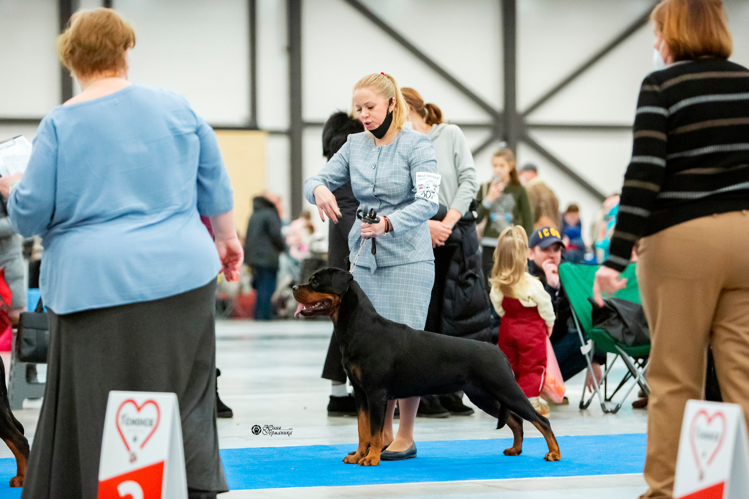 Санкт-Петербург 3хCACIB 10-12 декабря 2021. Фотограф-анималист Юлия Германика