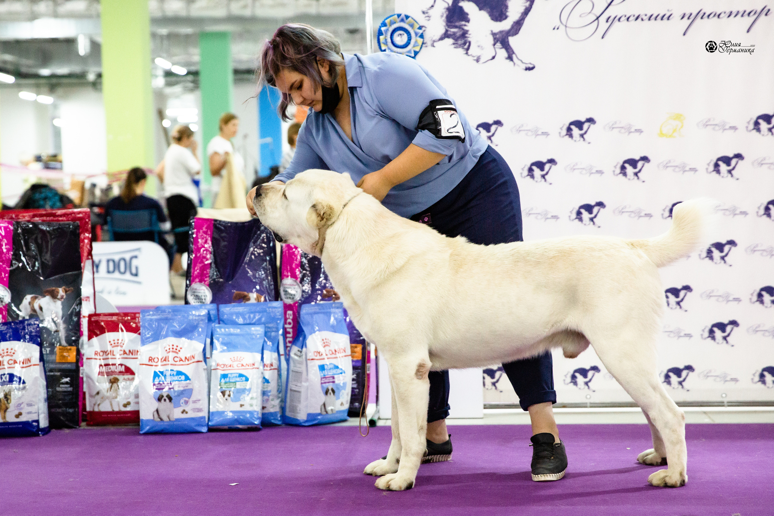 Чайна-Таун 2021. Фотограф-анималист Юлия Германика