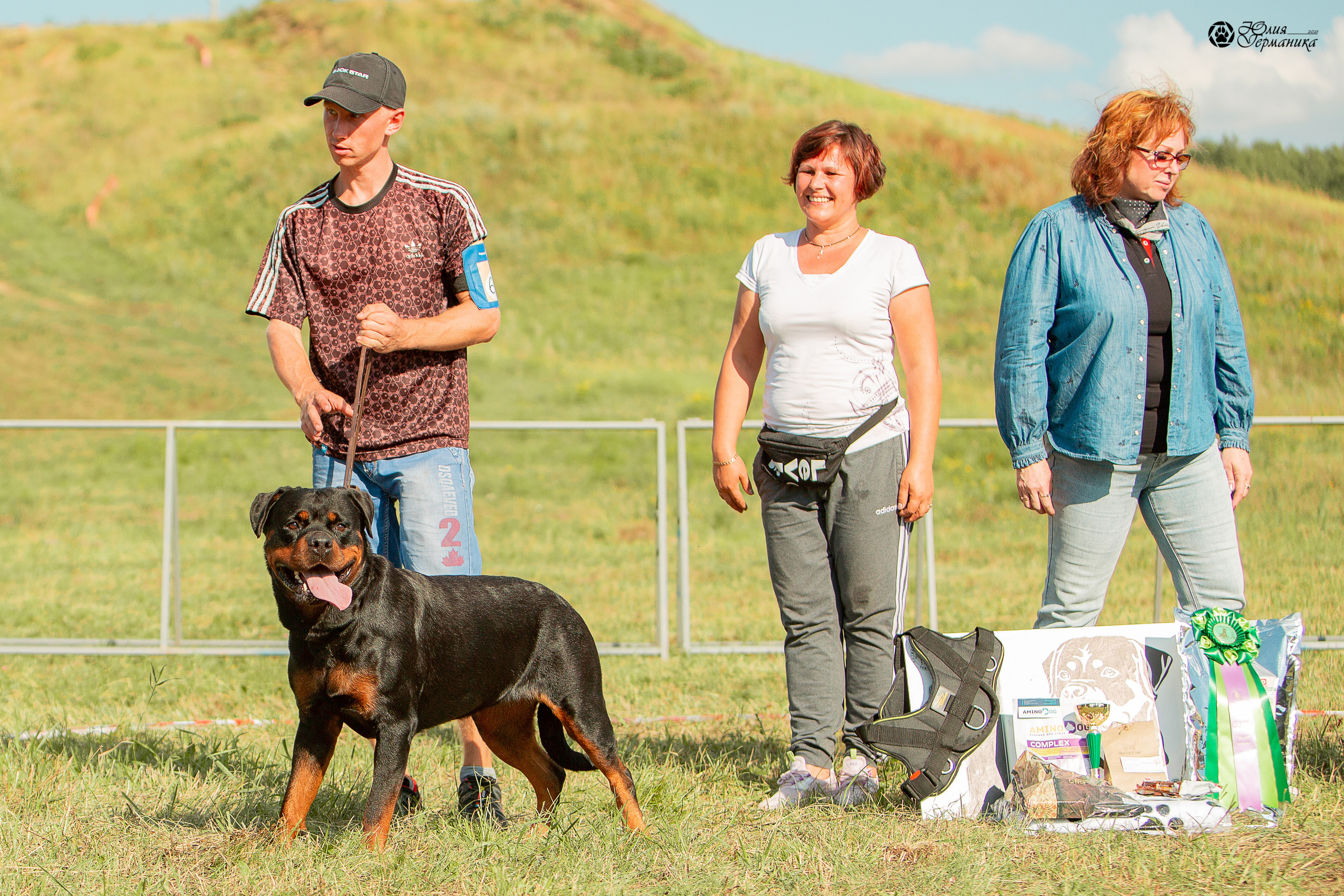 Рязань,Ховрино 14-15 августа 2021 моно ротвейлеров. Фотограф-анималист Юлия Германика
