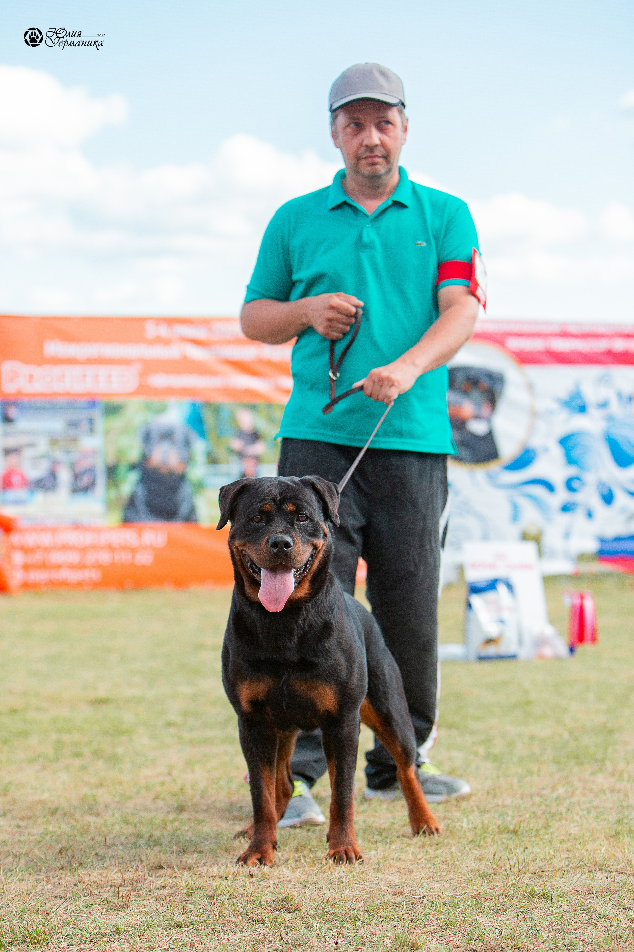 Тверь моно ротвейлеров 3-4 июля 2021. Фотограф-анималист Юлия Германика