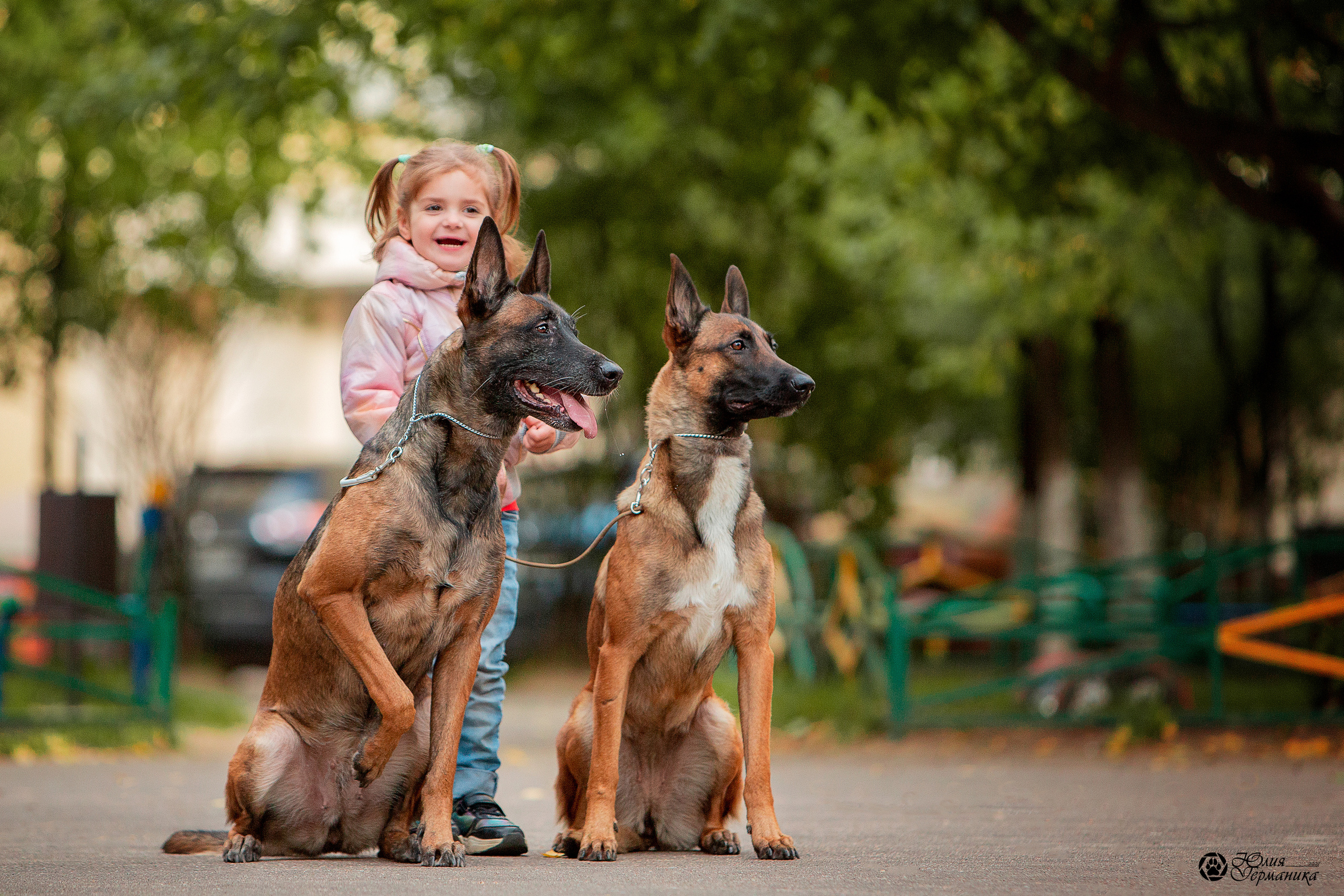 Свободная съемка. Фотограф-анималист Юлия Германика