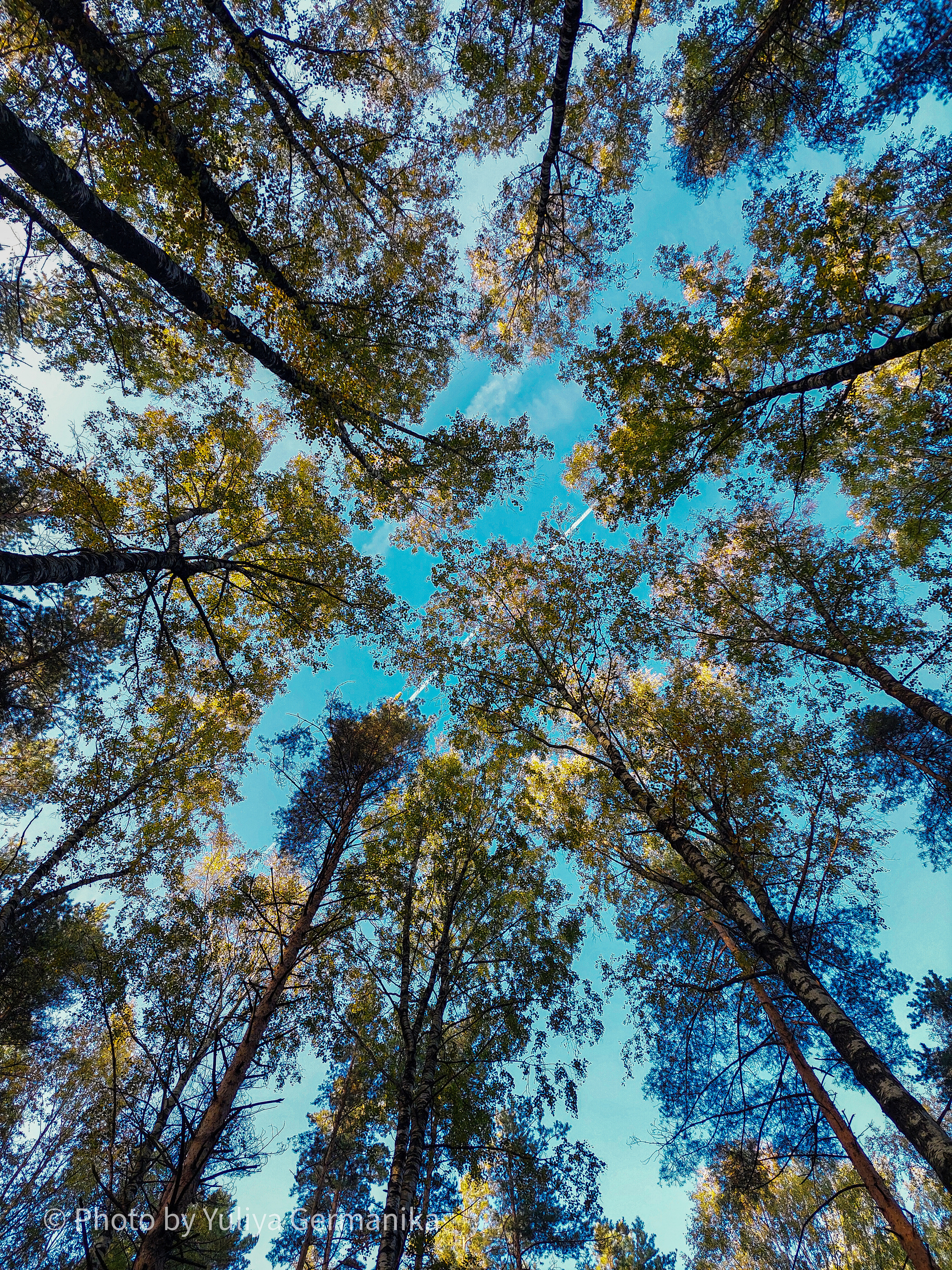 Разные фото на телефон.Города,природа. Фотограф-анималист Юлия Германика