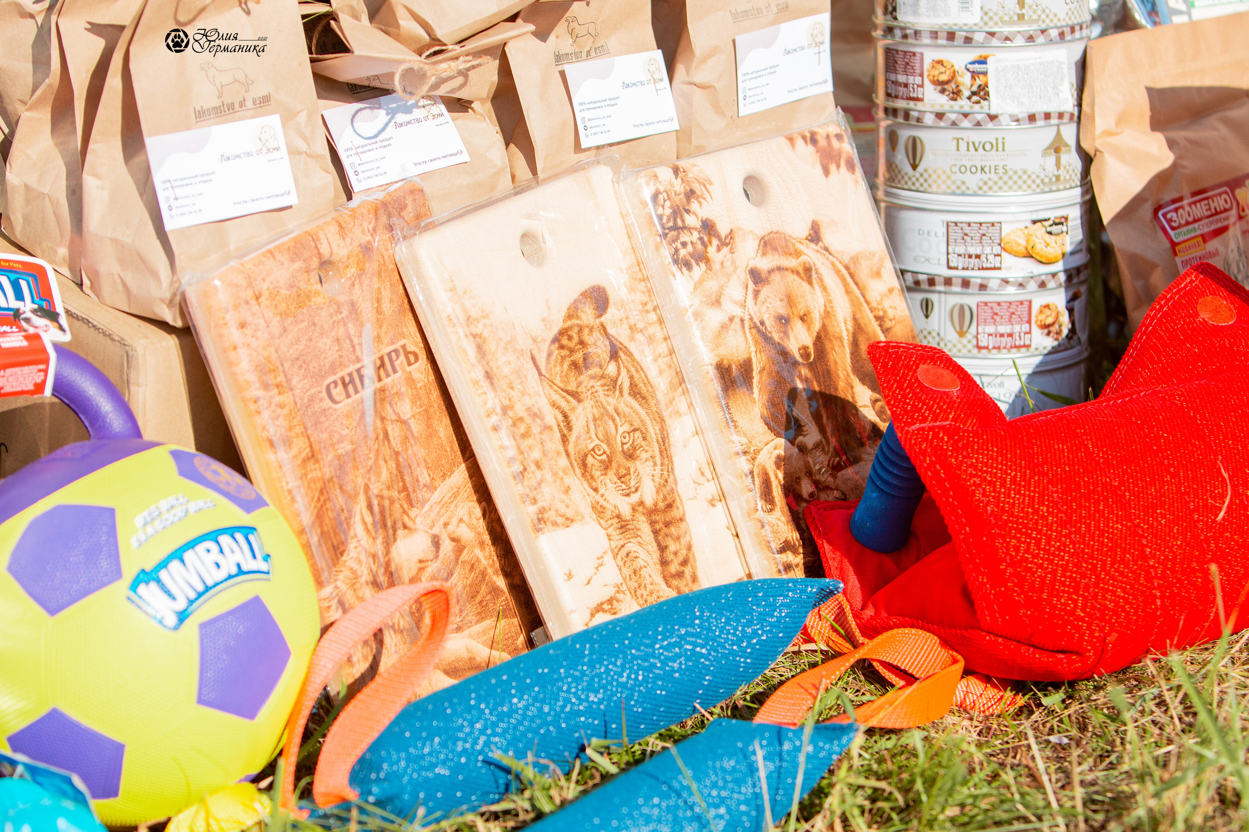 Рязань,Ховрино 14-15 августа 2021 моно ротвейлеров. Фотограф-анималист Юлия Германика