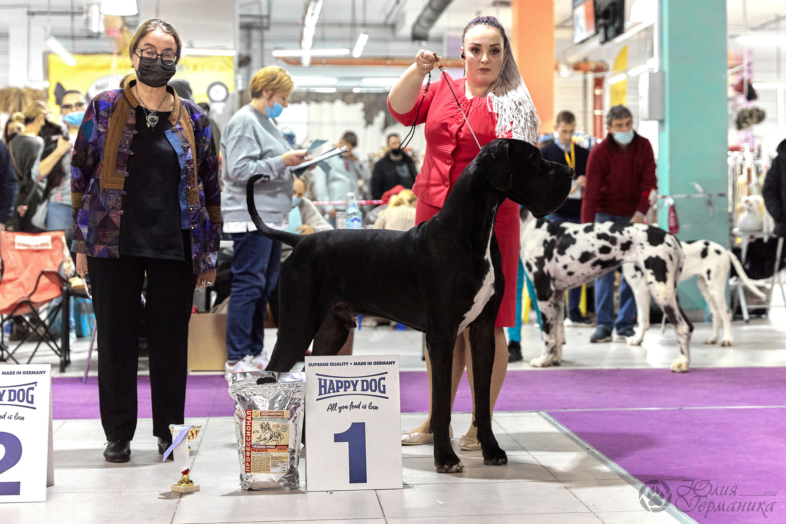 Чайник  13-14 ноября 2021. Фотограф-анималист Юлия Германика